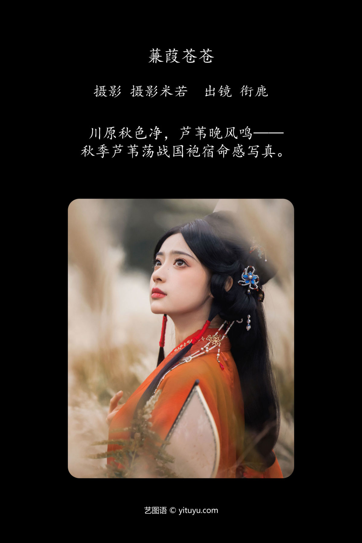 摄影米若_衔鹿《蒹葭苍苍》美图作品图片2