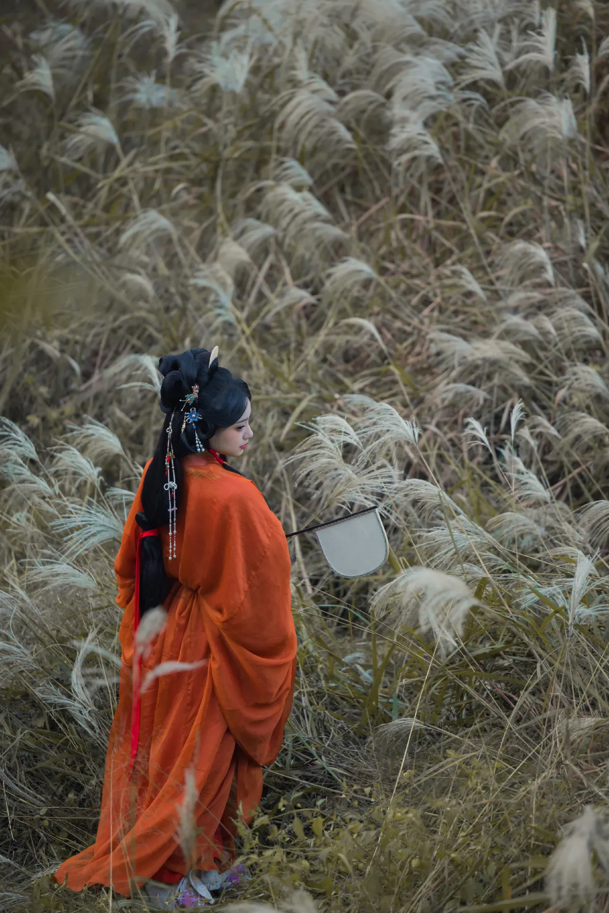 摄影米若_衔鹿《蒹葭苍苍》美图作品图片5