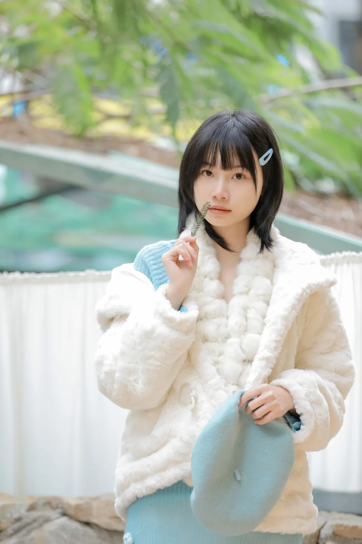 春日加载