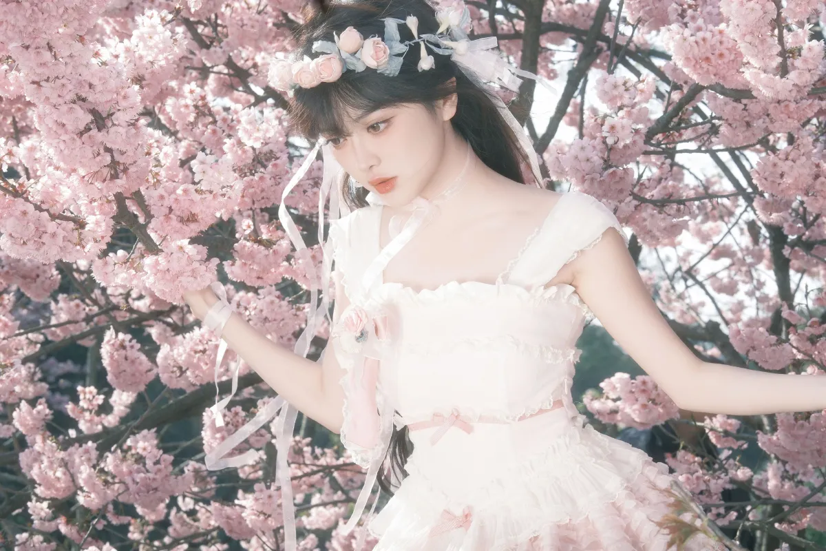 樱花少女梦2