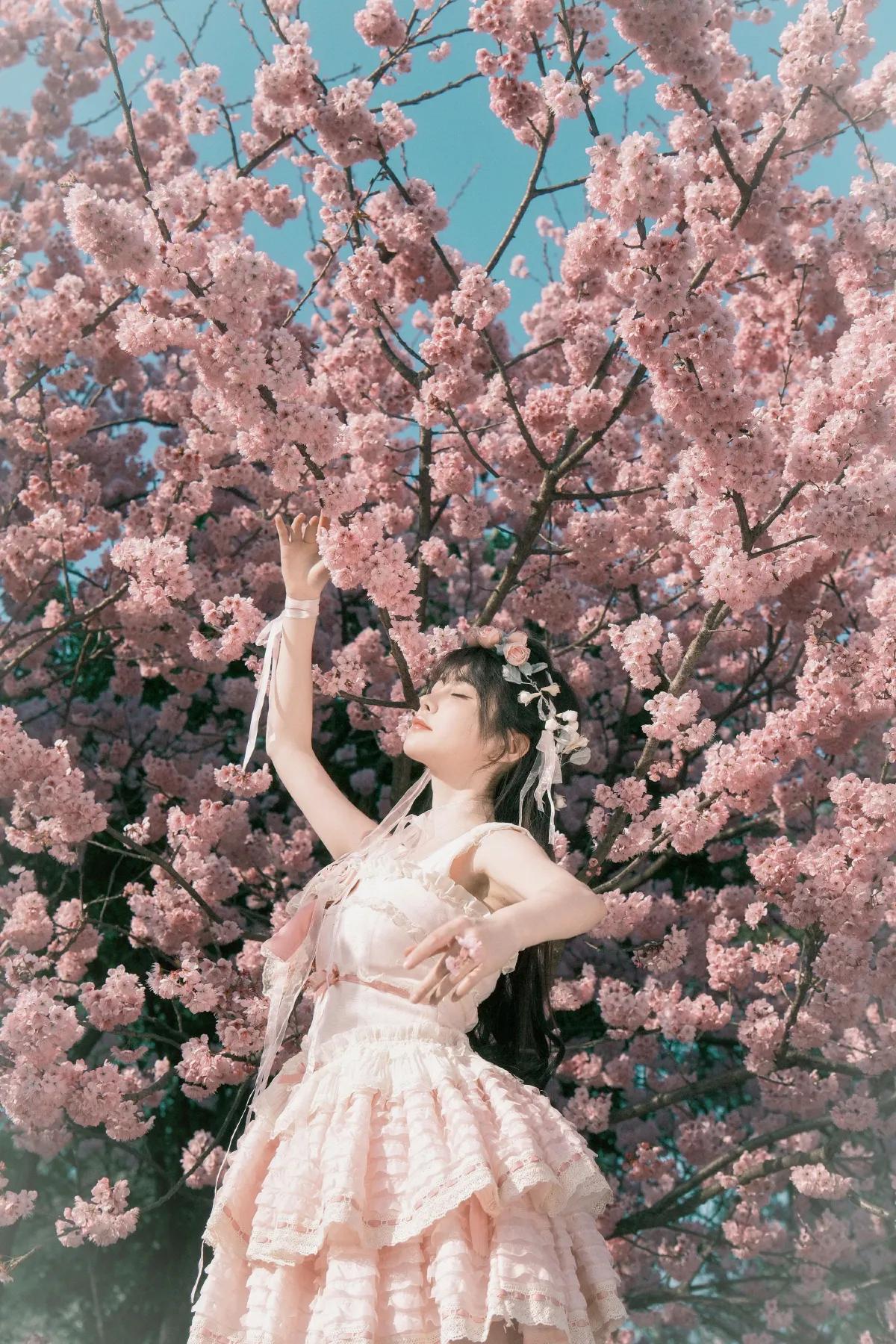 樱花少女梦