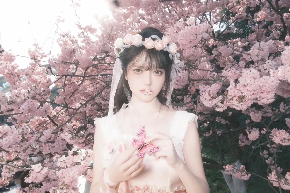 樱花少女梦3