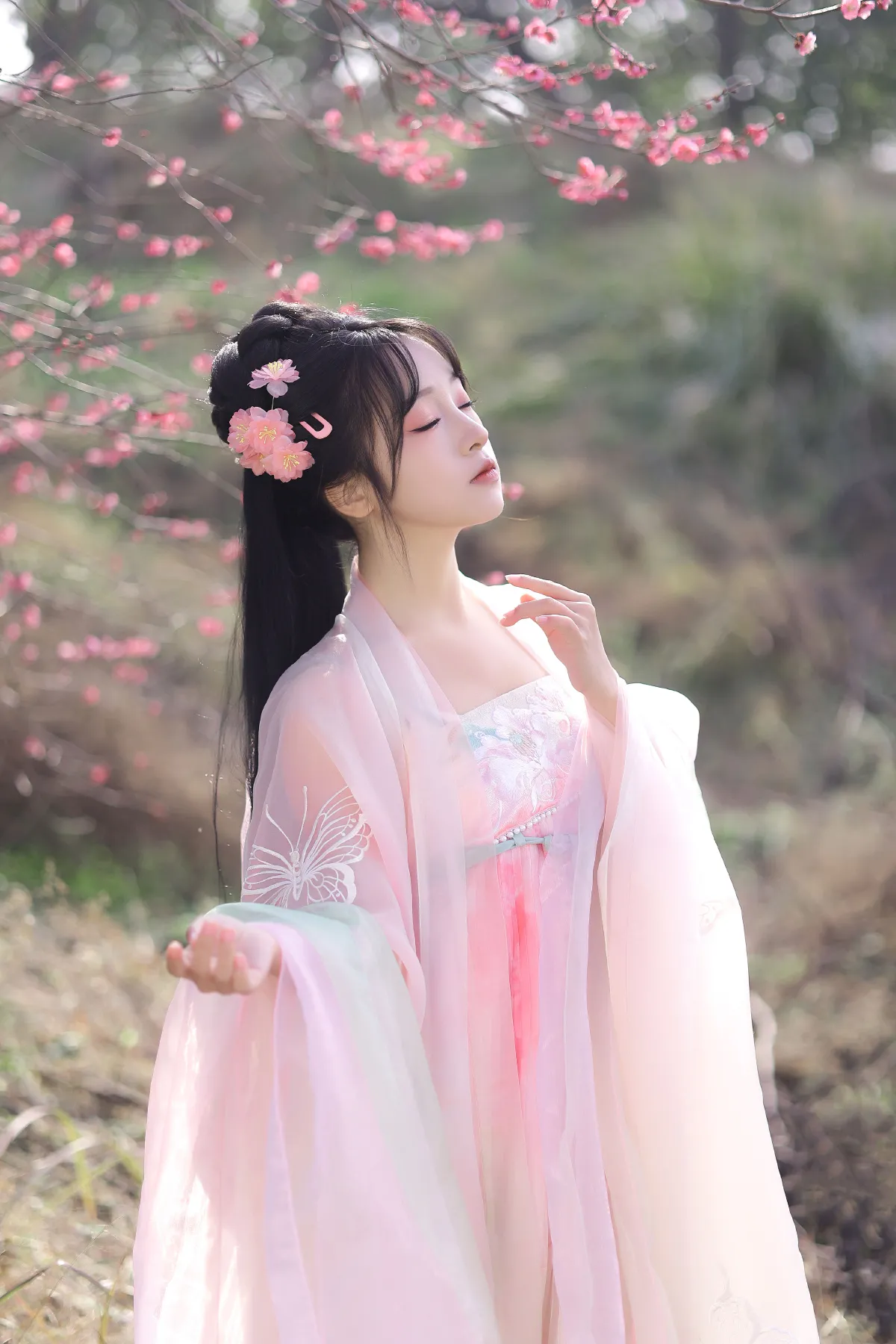 春樱1