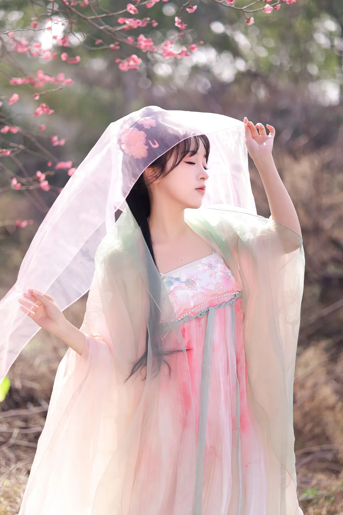 春樱2