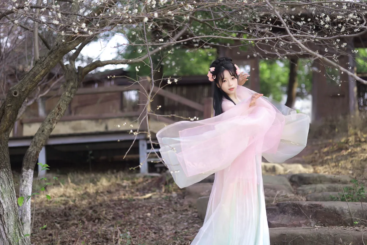 春樱3