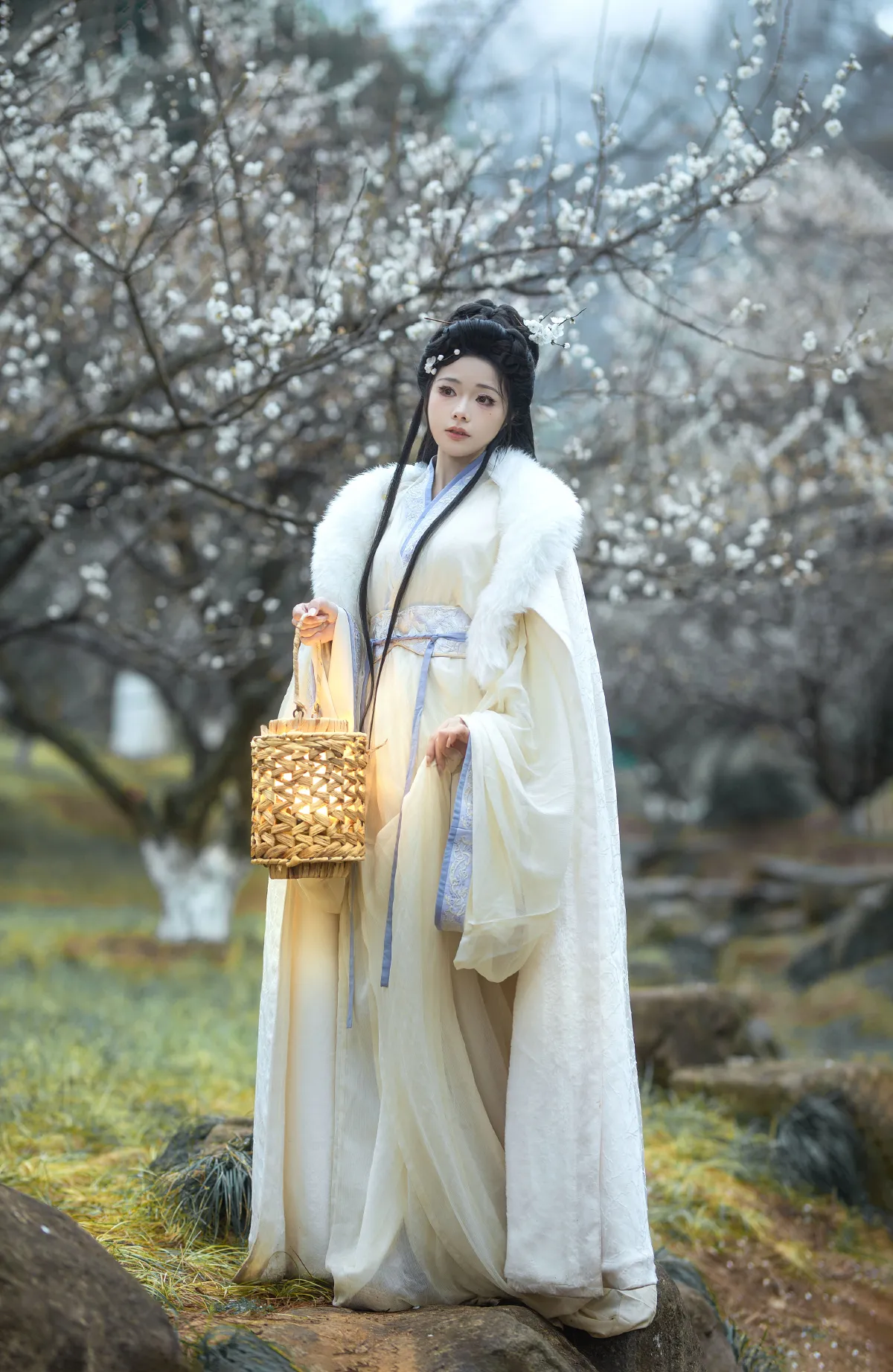 问春