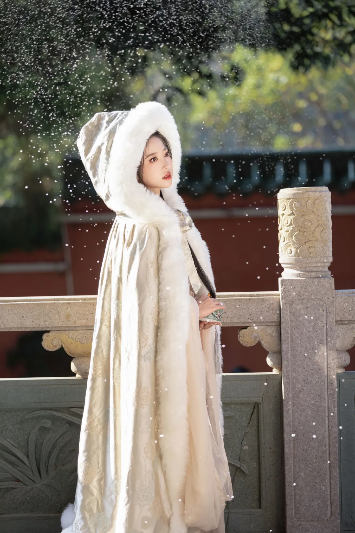 落雪