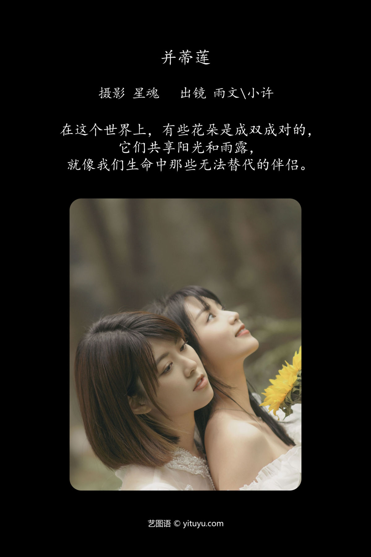 陈先森_小许_雨文《并蒂莲》美图作品图片2