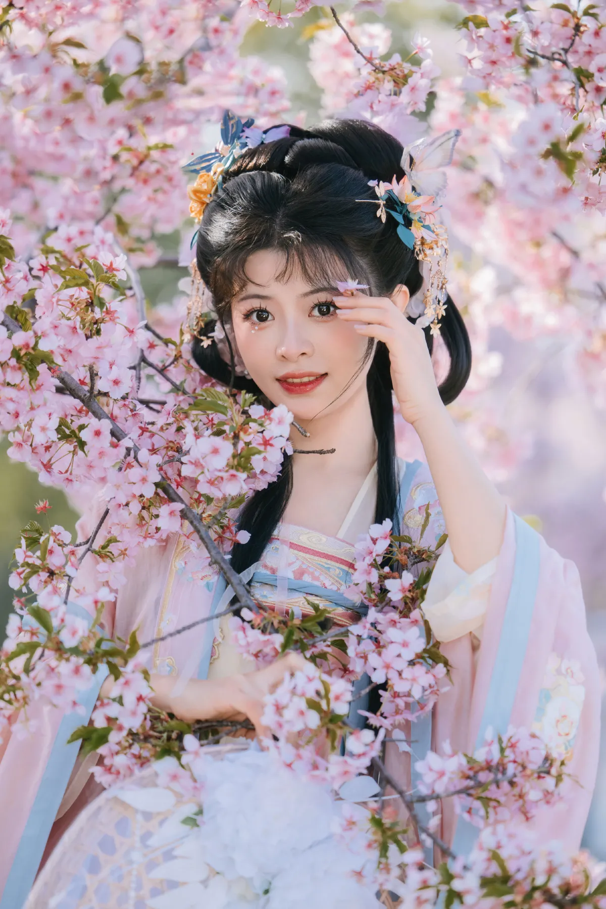 樱花雨