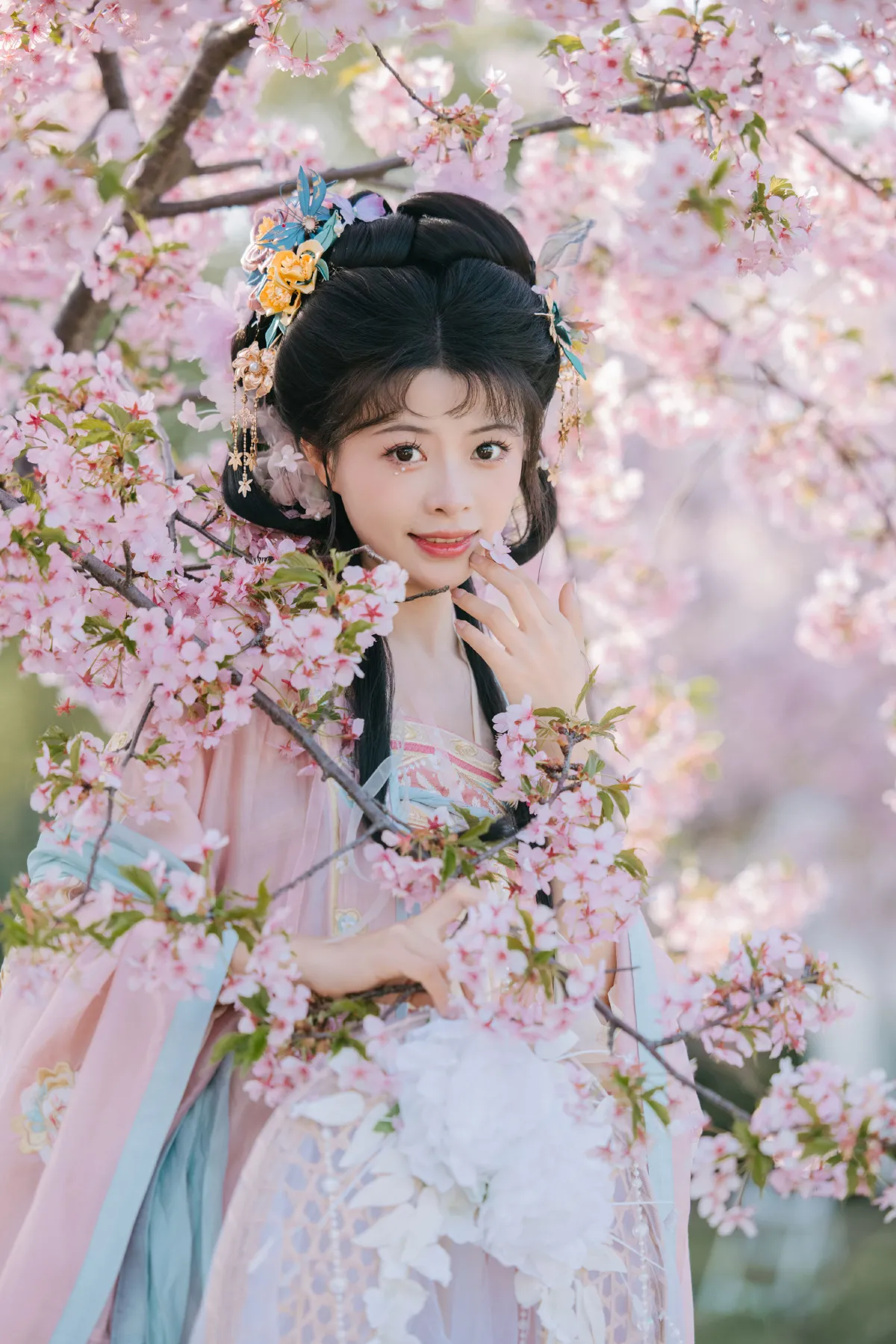 樱花雨