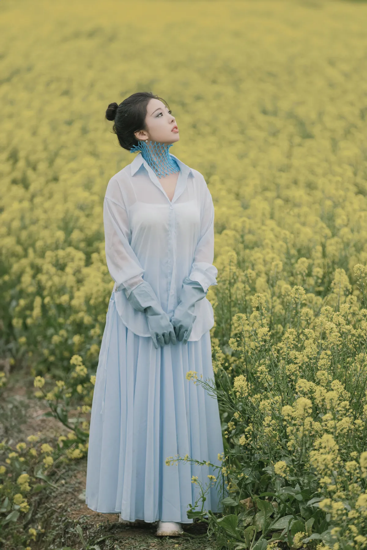 花海1