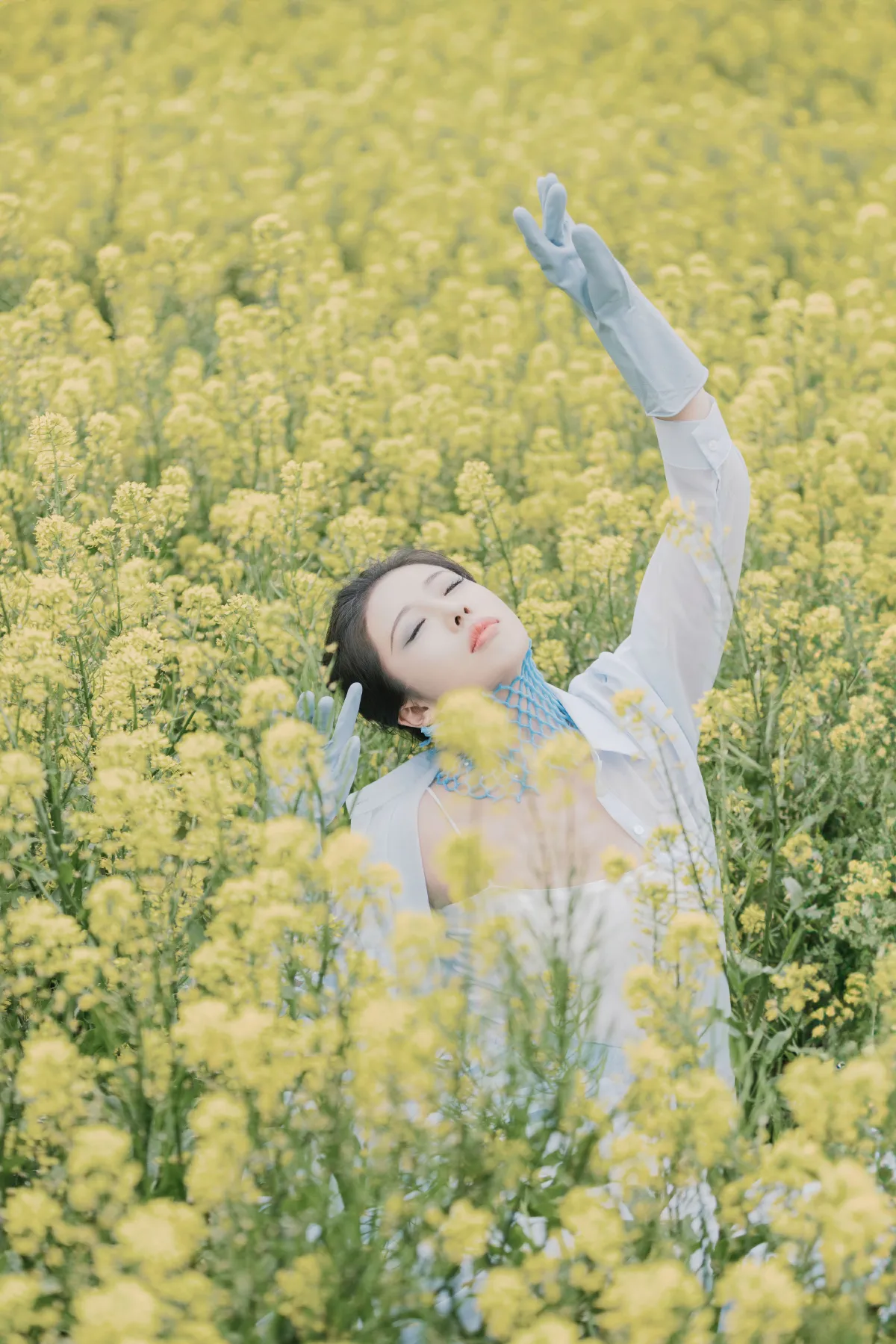 花海3