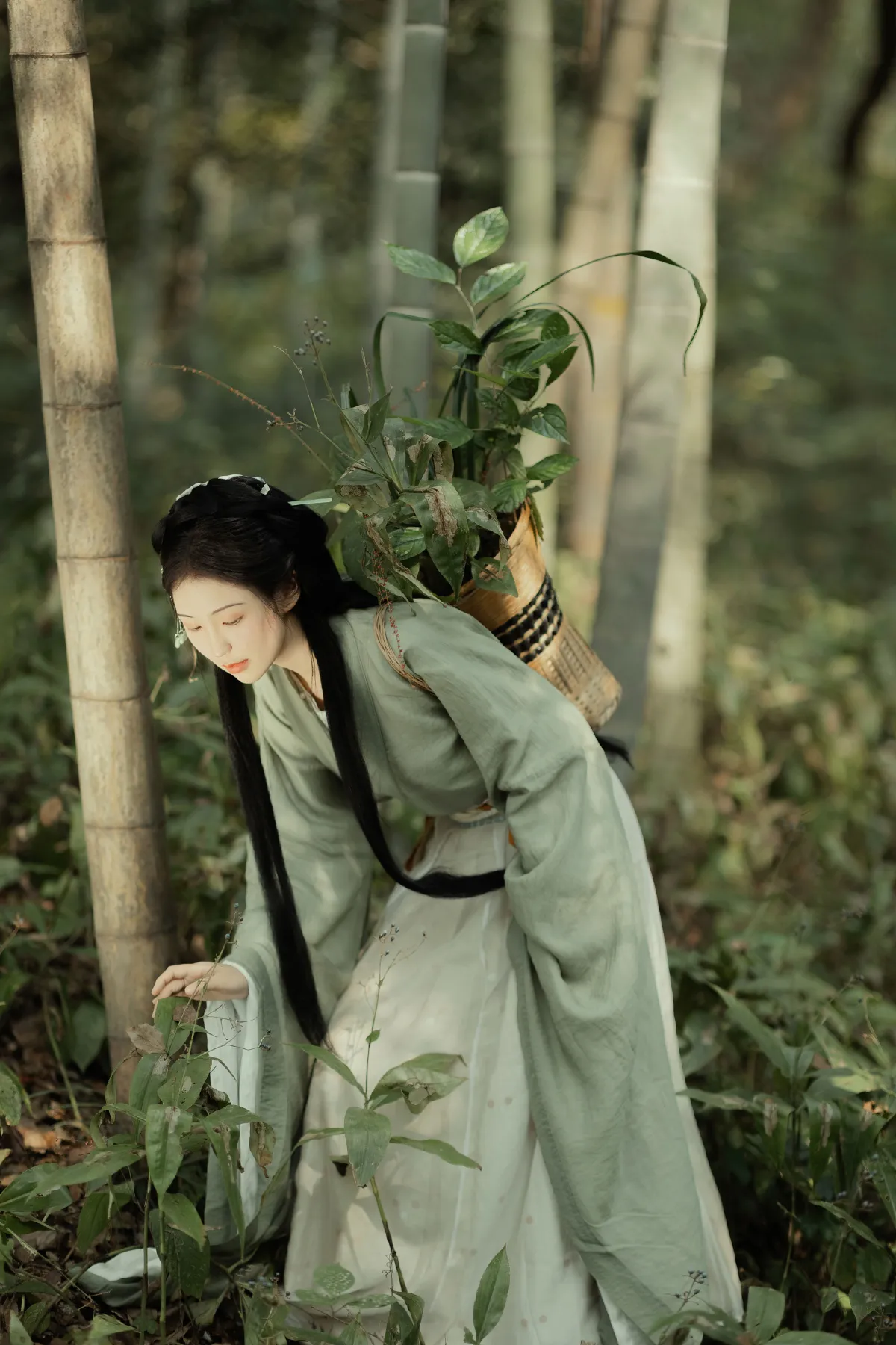 采药