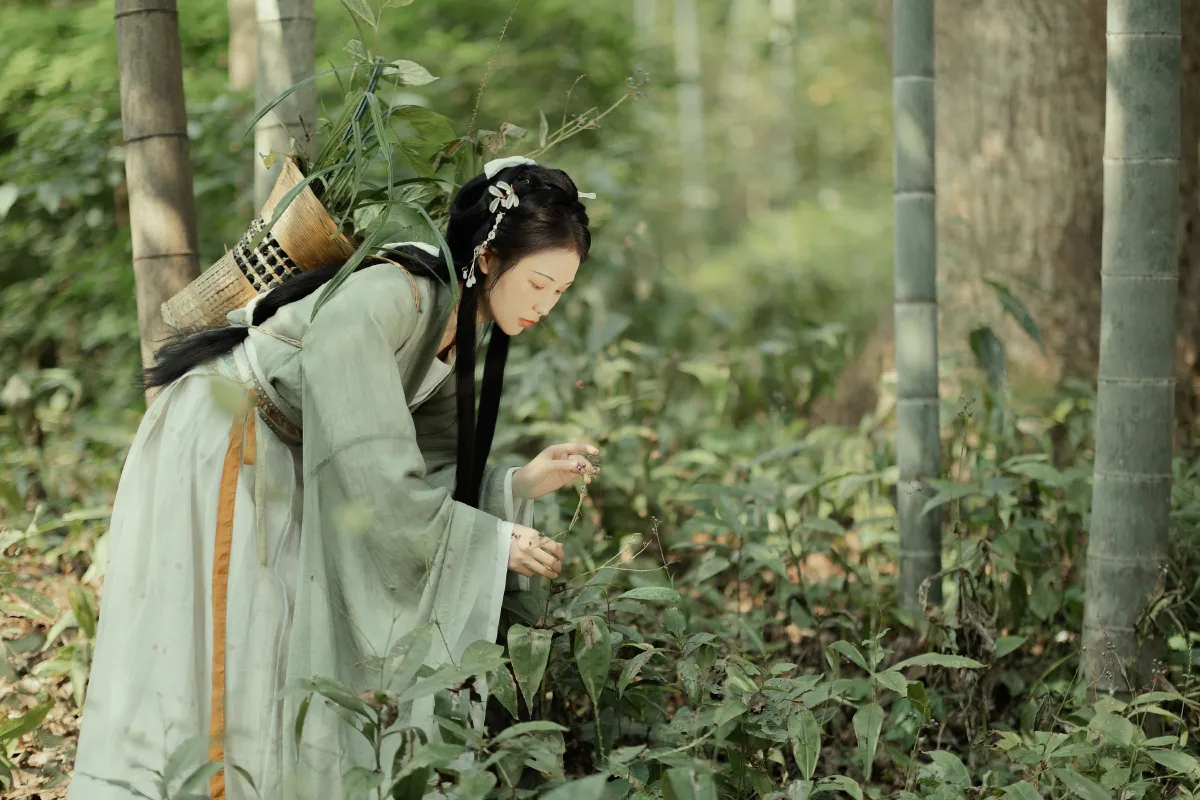采药