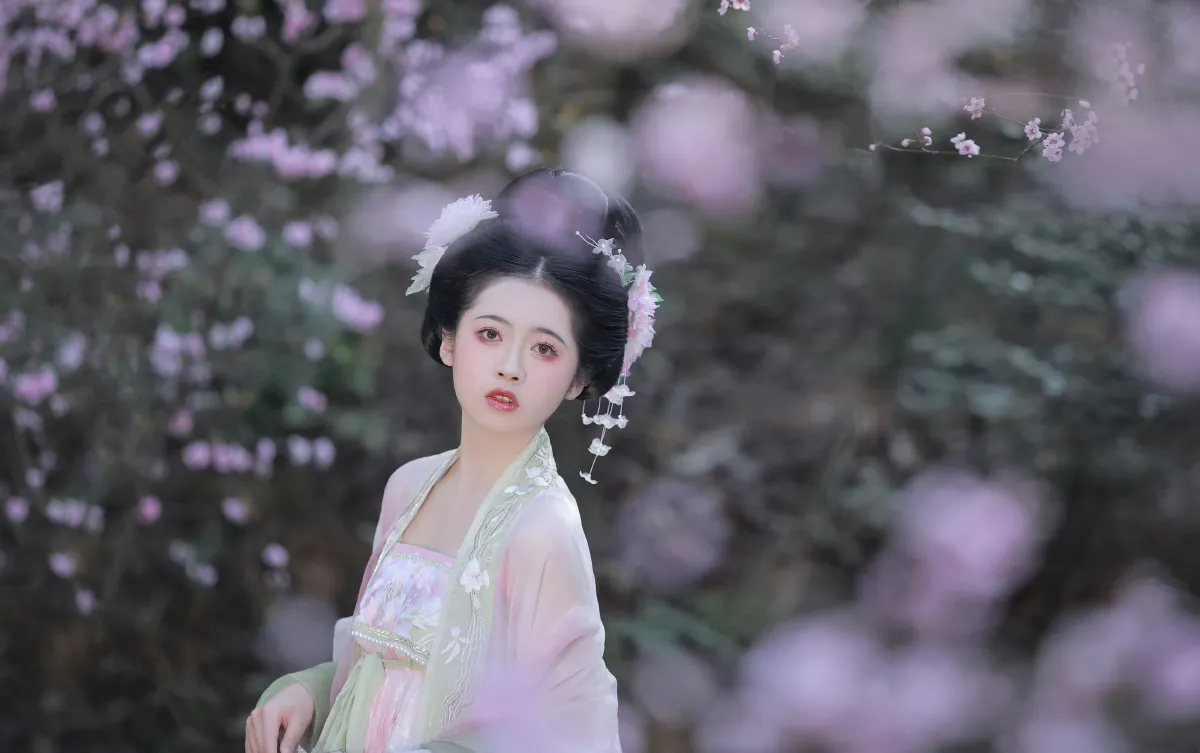 春有百花秋有月2