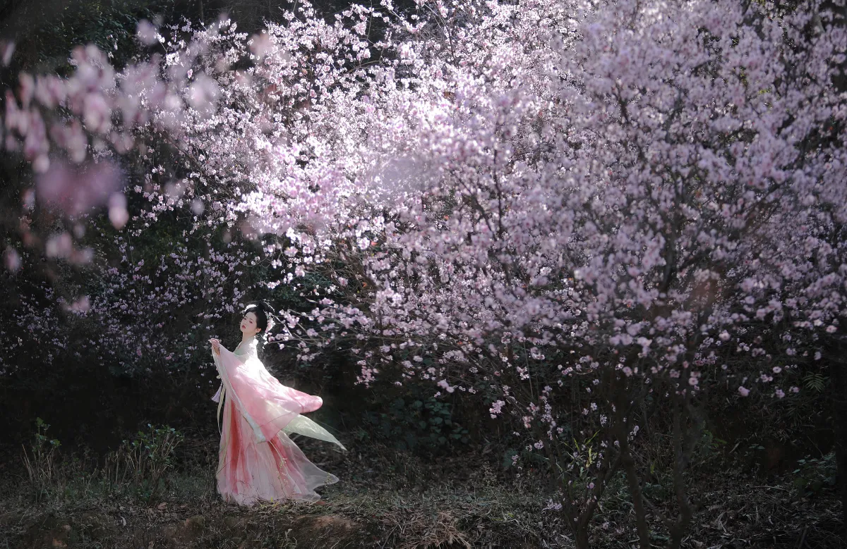 春有百花秋有月3