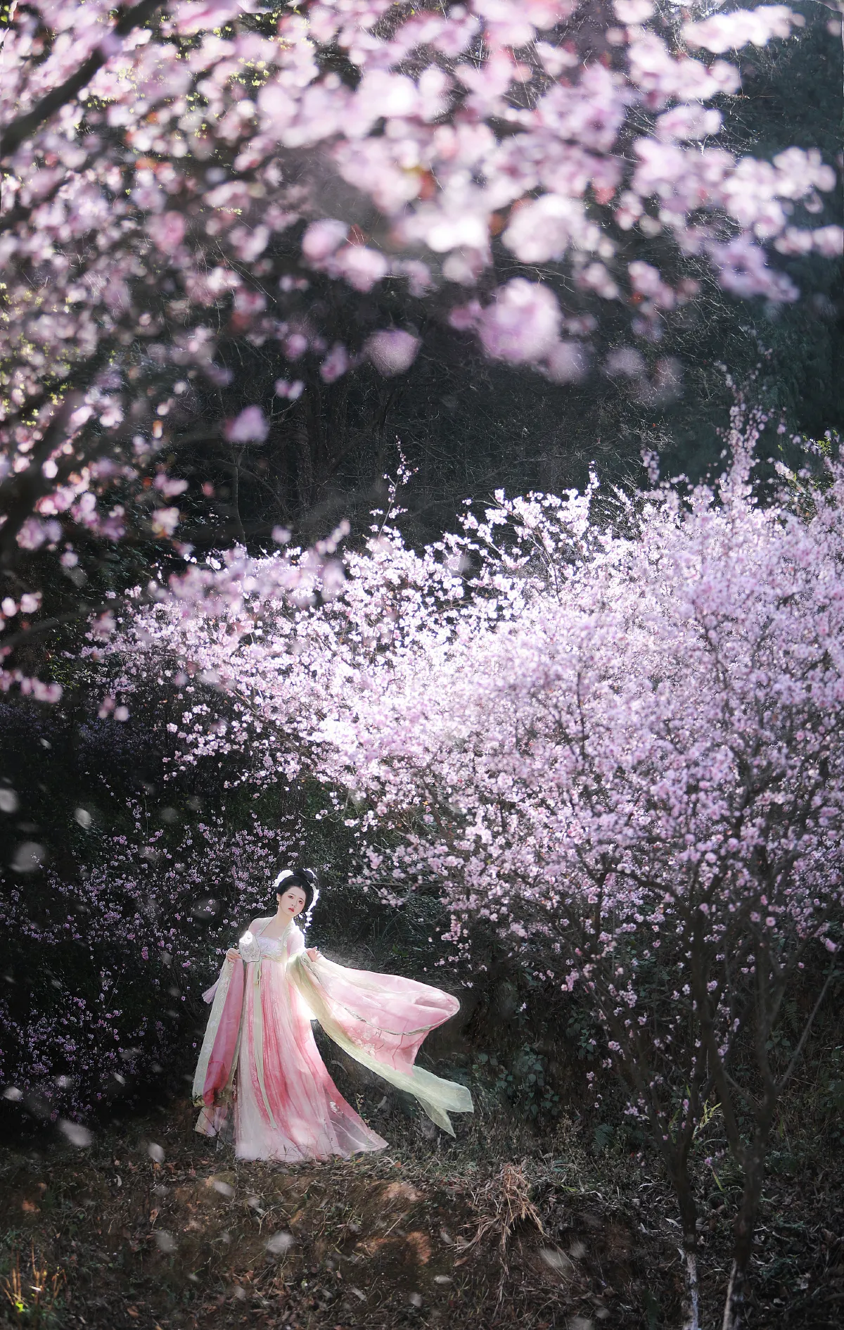 春有百花秋有月