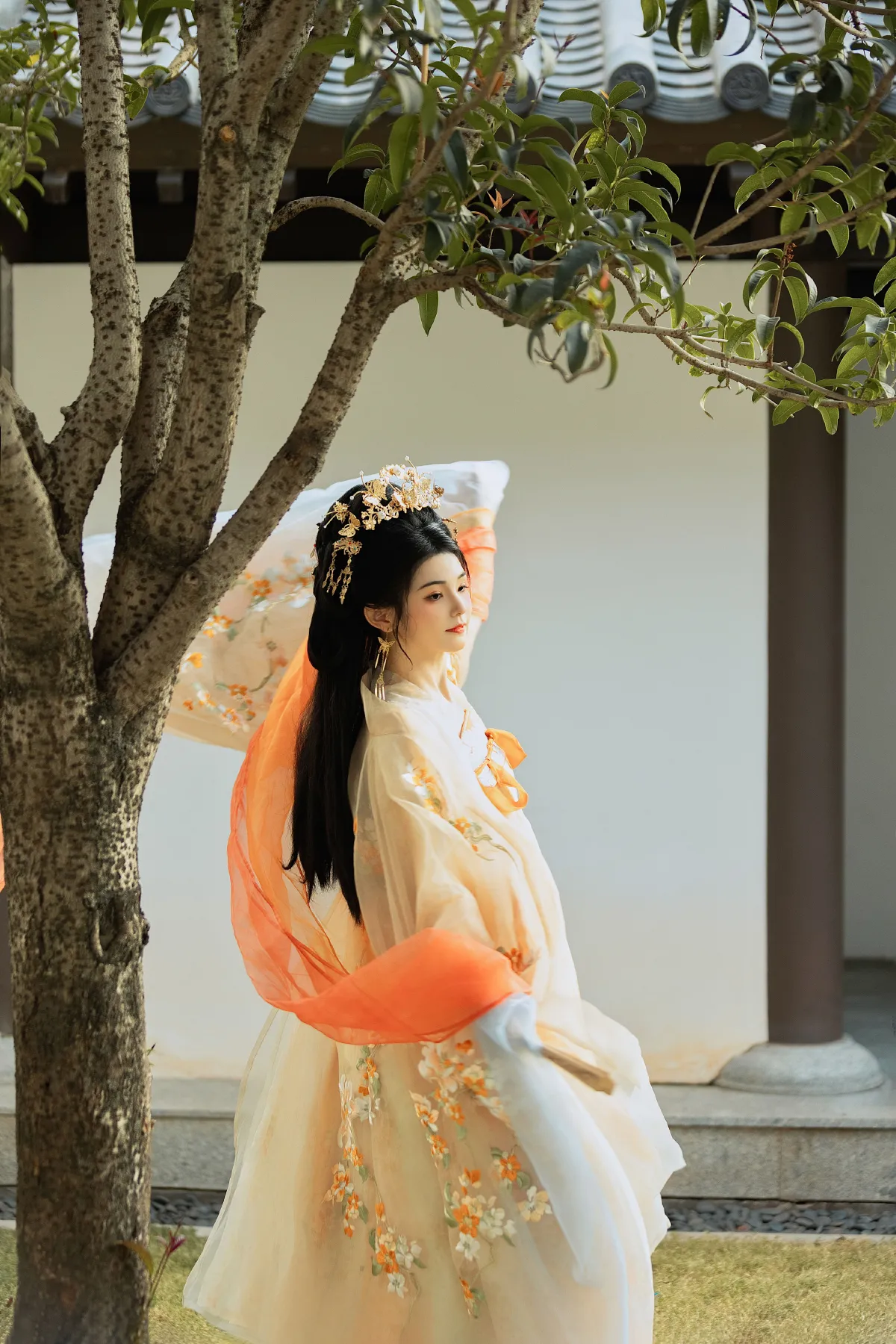 朝花引2
