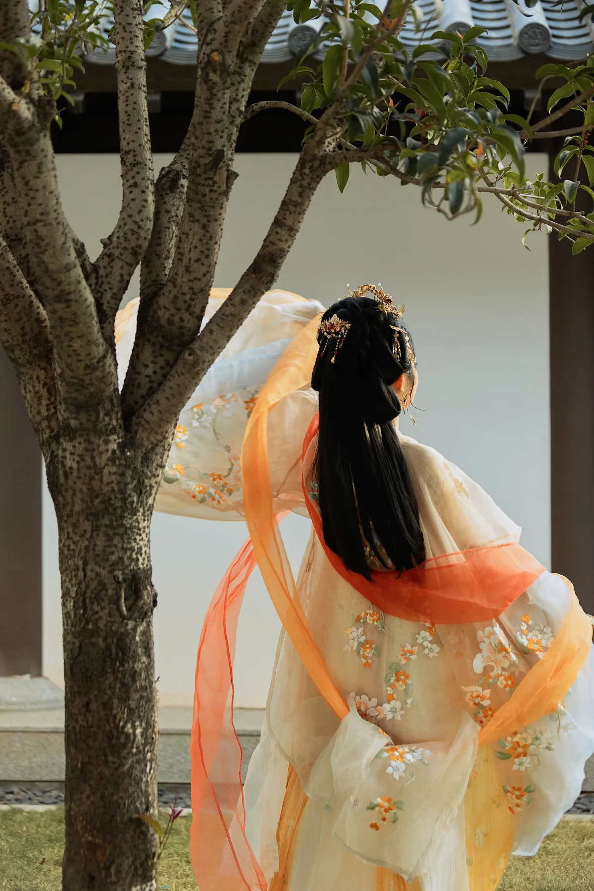 朝花引
