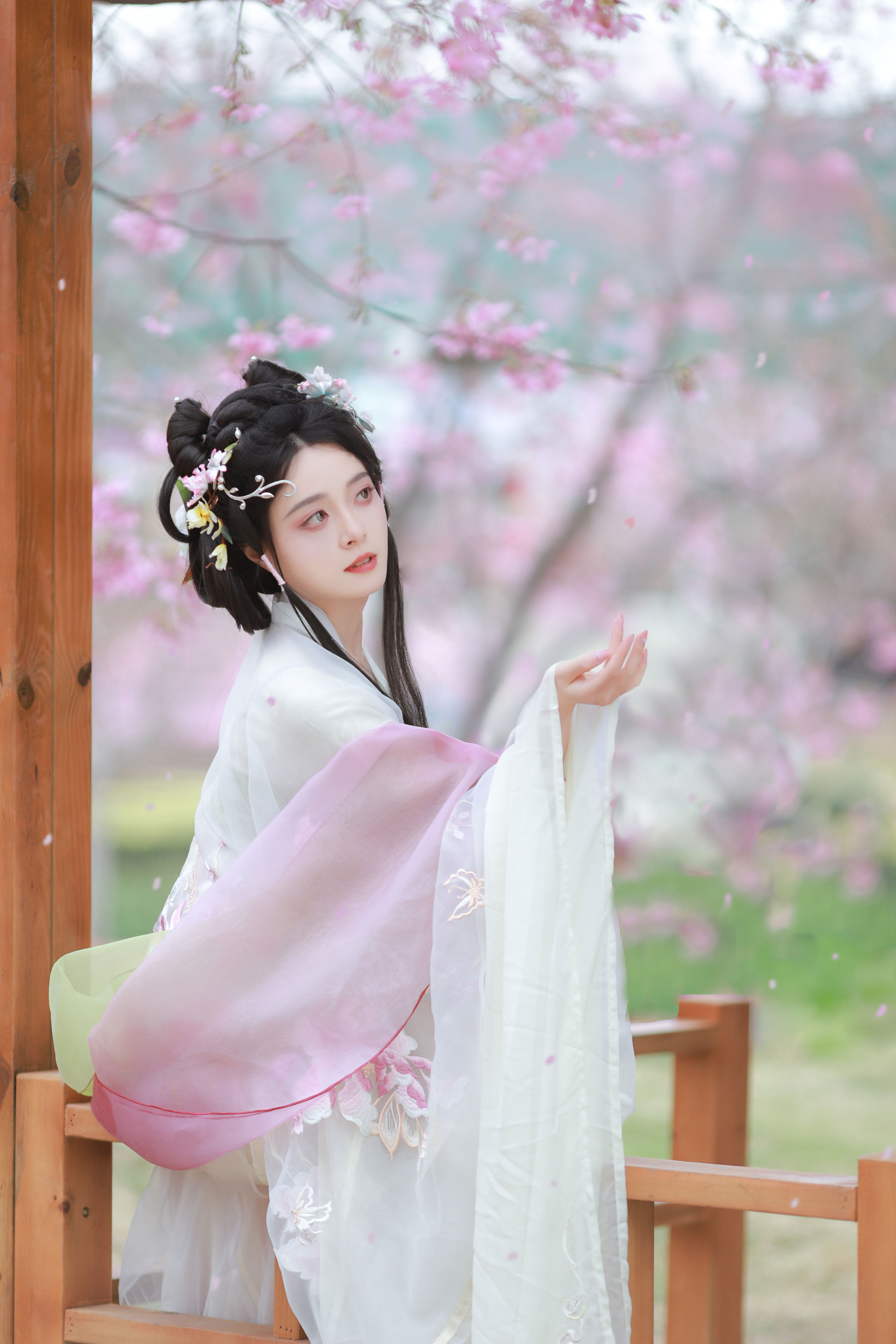 樱花雨1