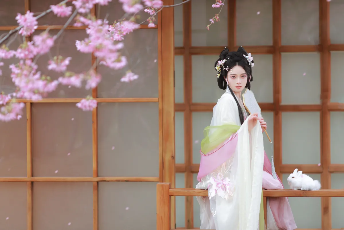 樱花雨