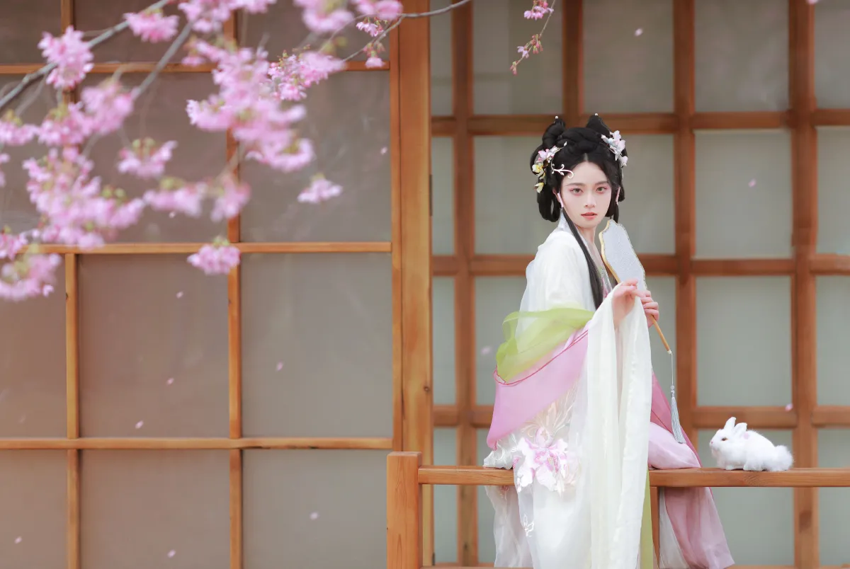 樱花雨2