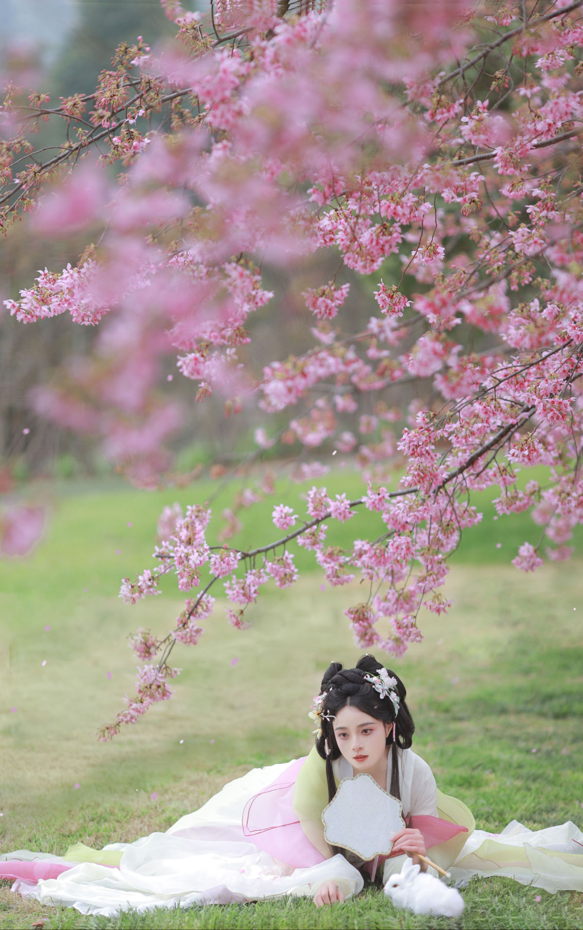 卷卷不卷w_岁岁如意《樱花雨》美图作品图片5