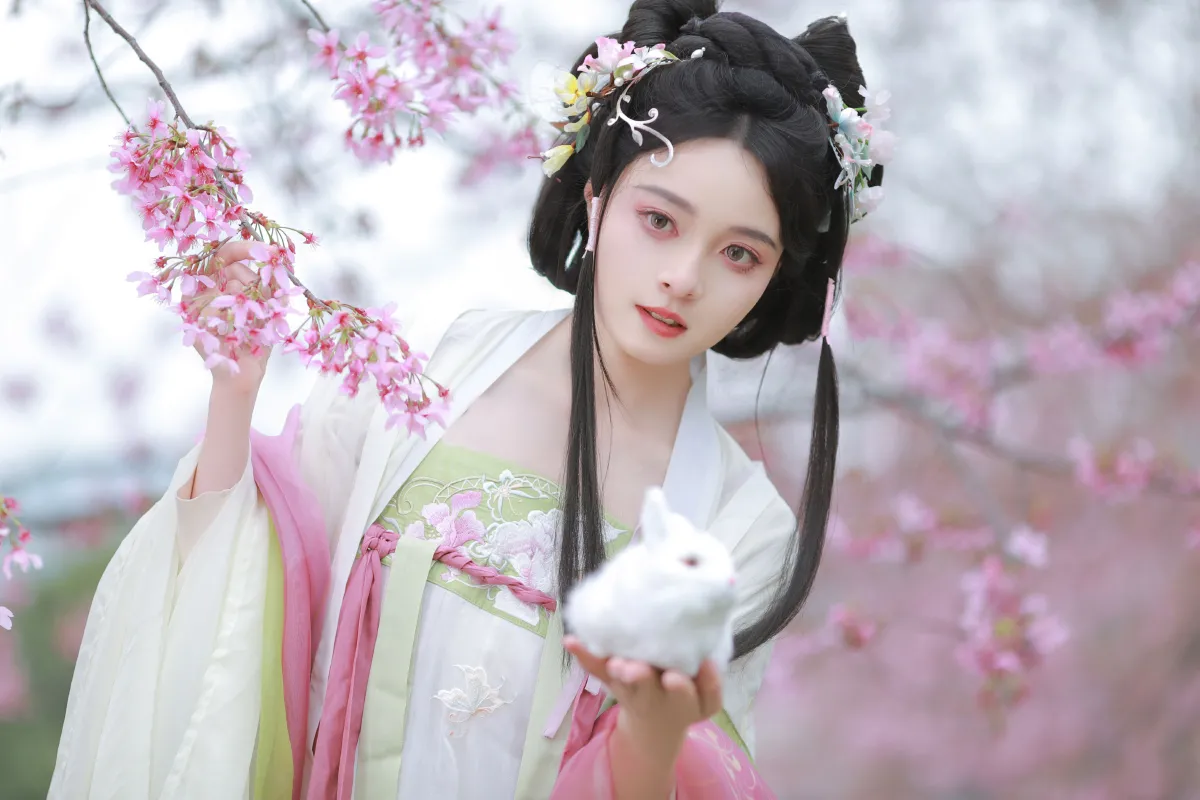 樱花雨