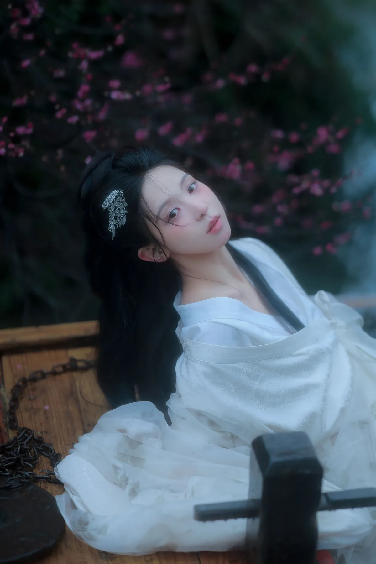 西溪赏梅