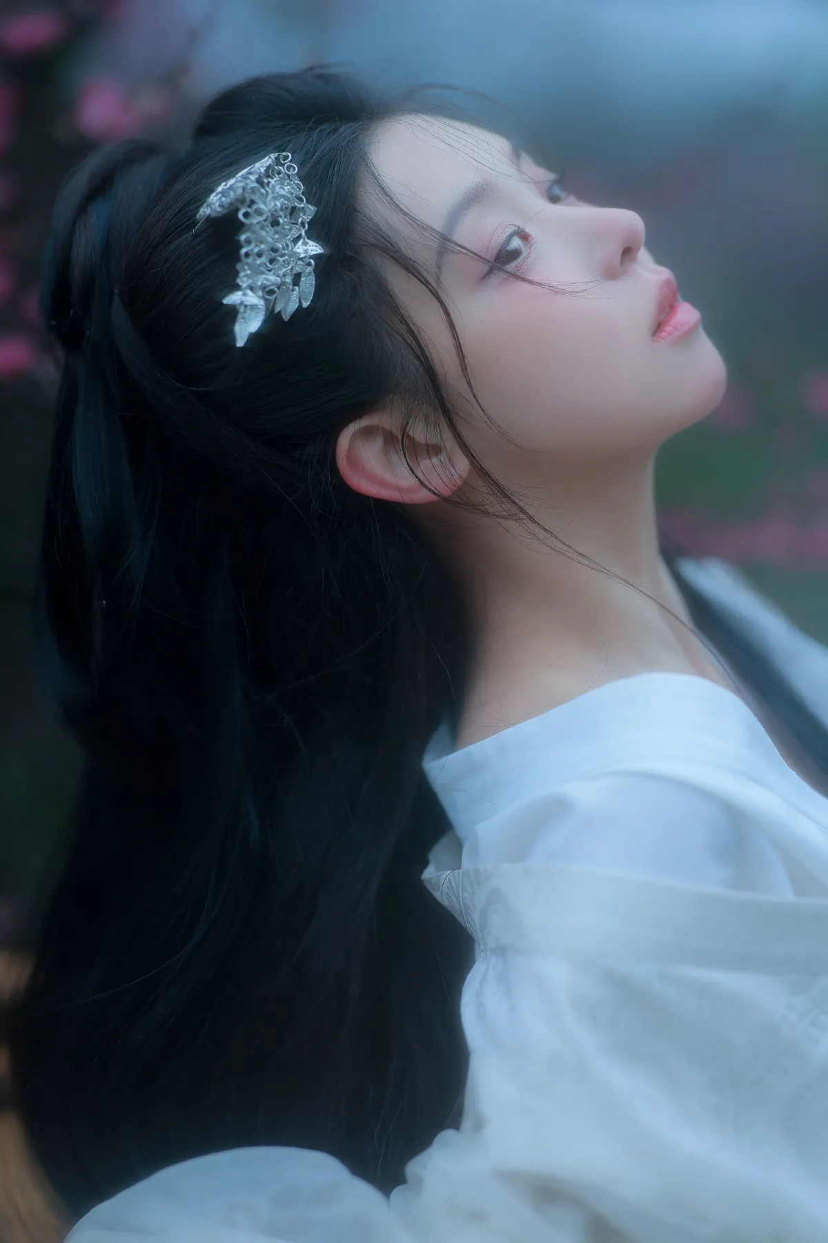 西溪赏梅