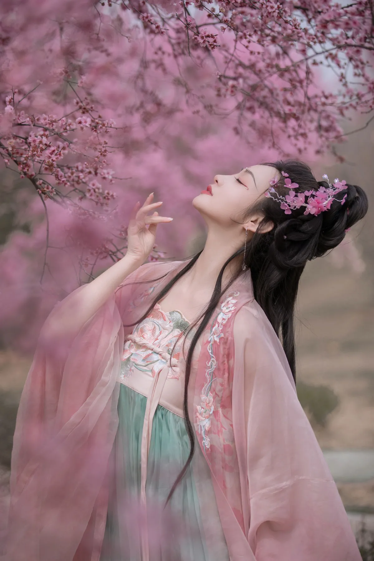 春有约
