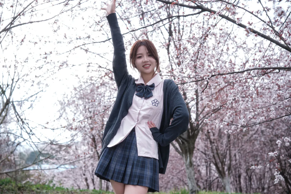 紫叶李jk2