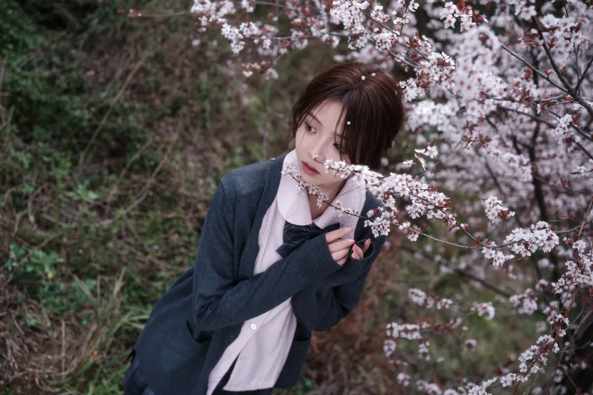 紫叶李jk
