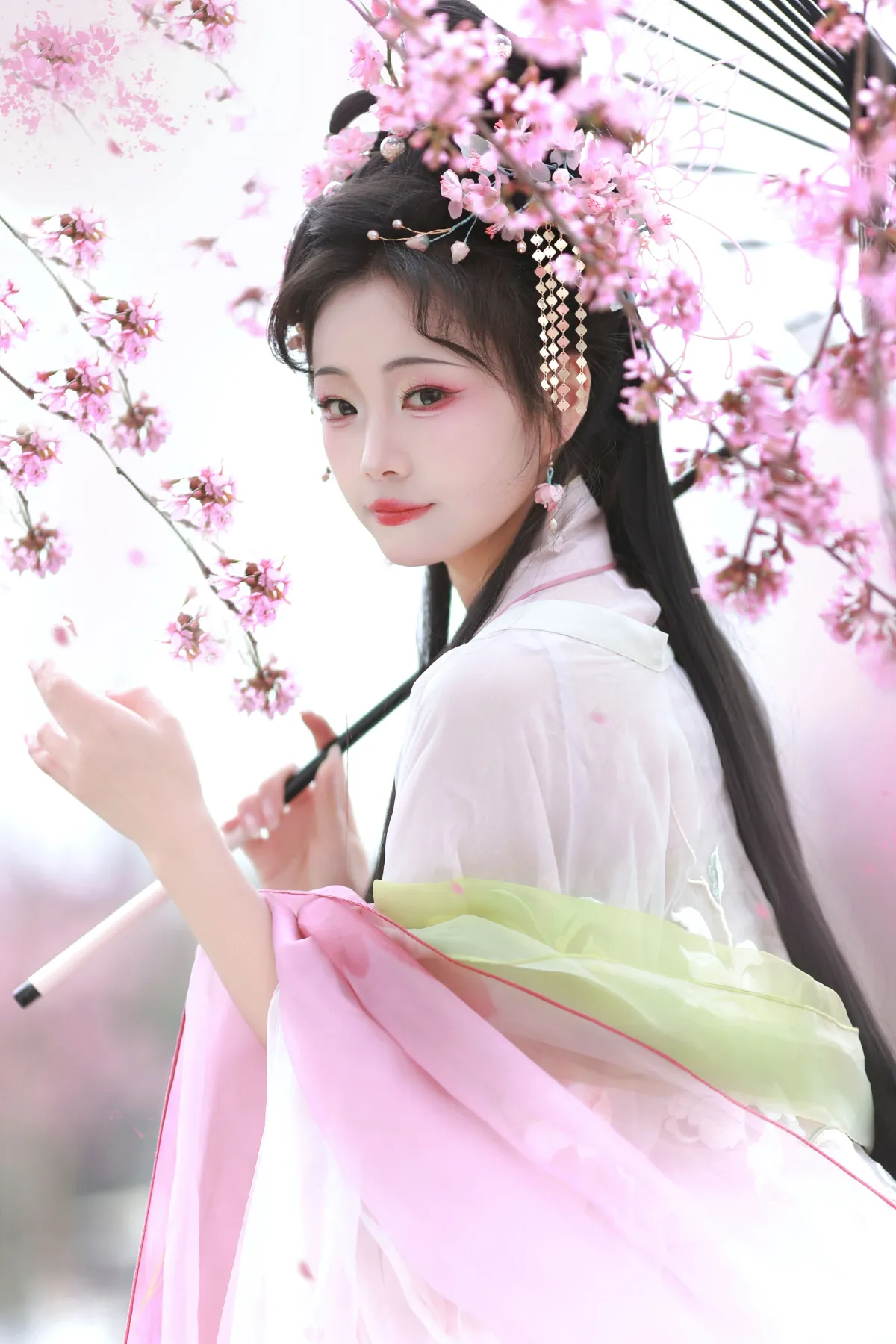 樱之梦1