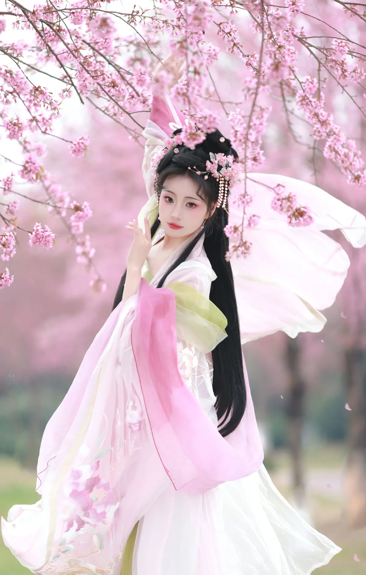 樱之梦