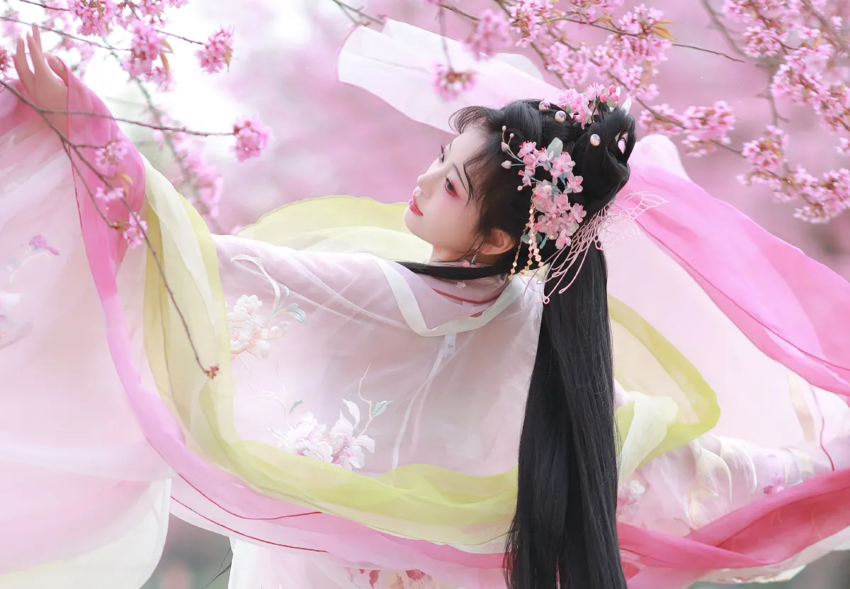 樱之梦3