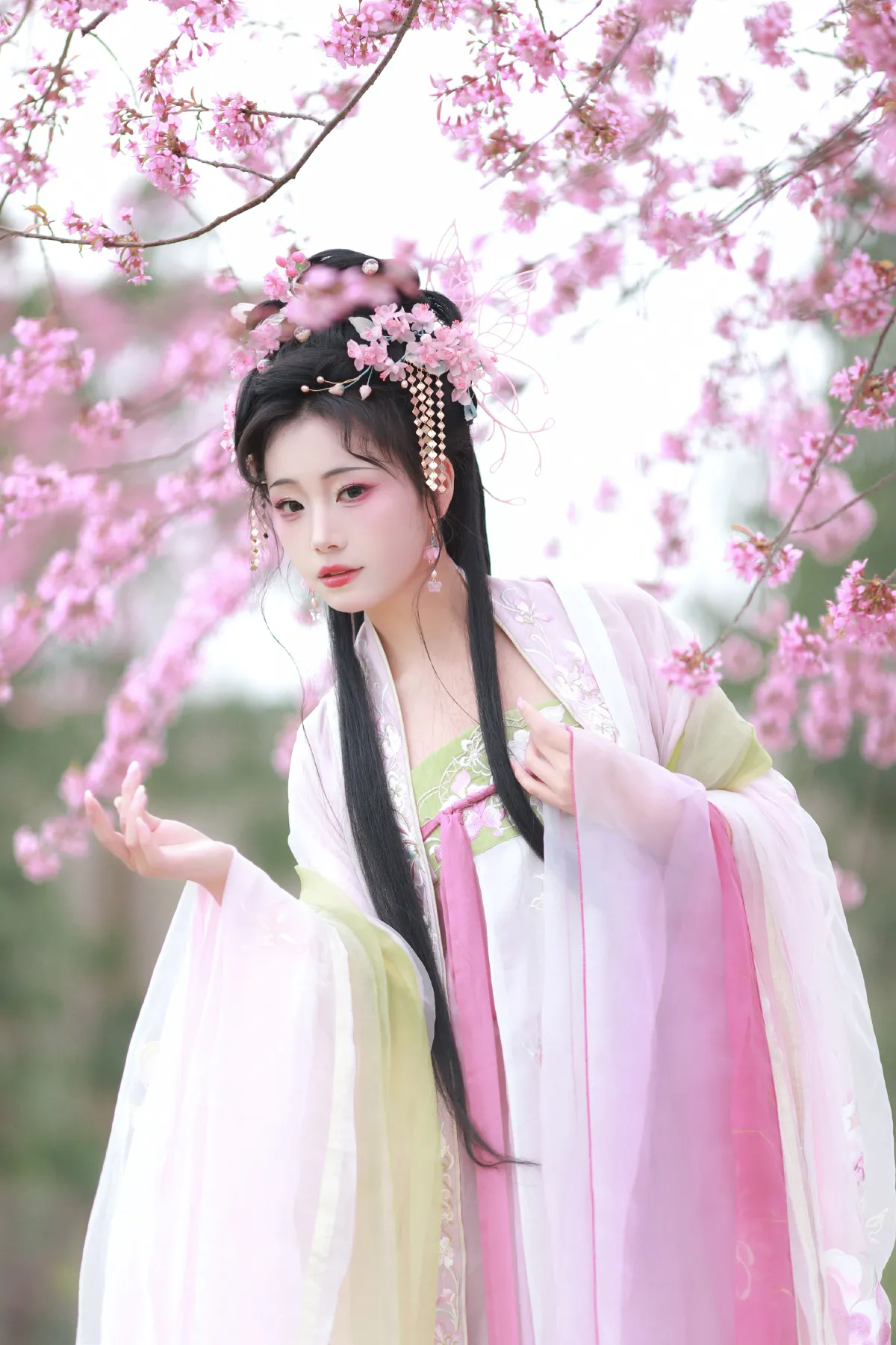 樱之梦
