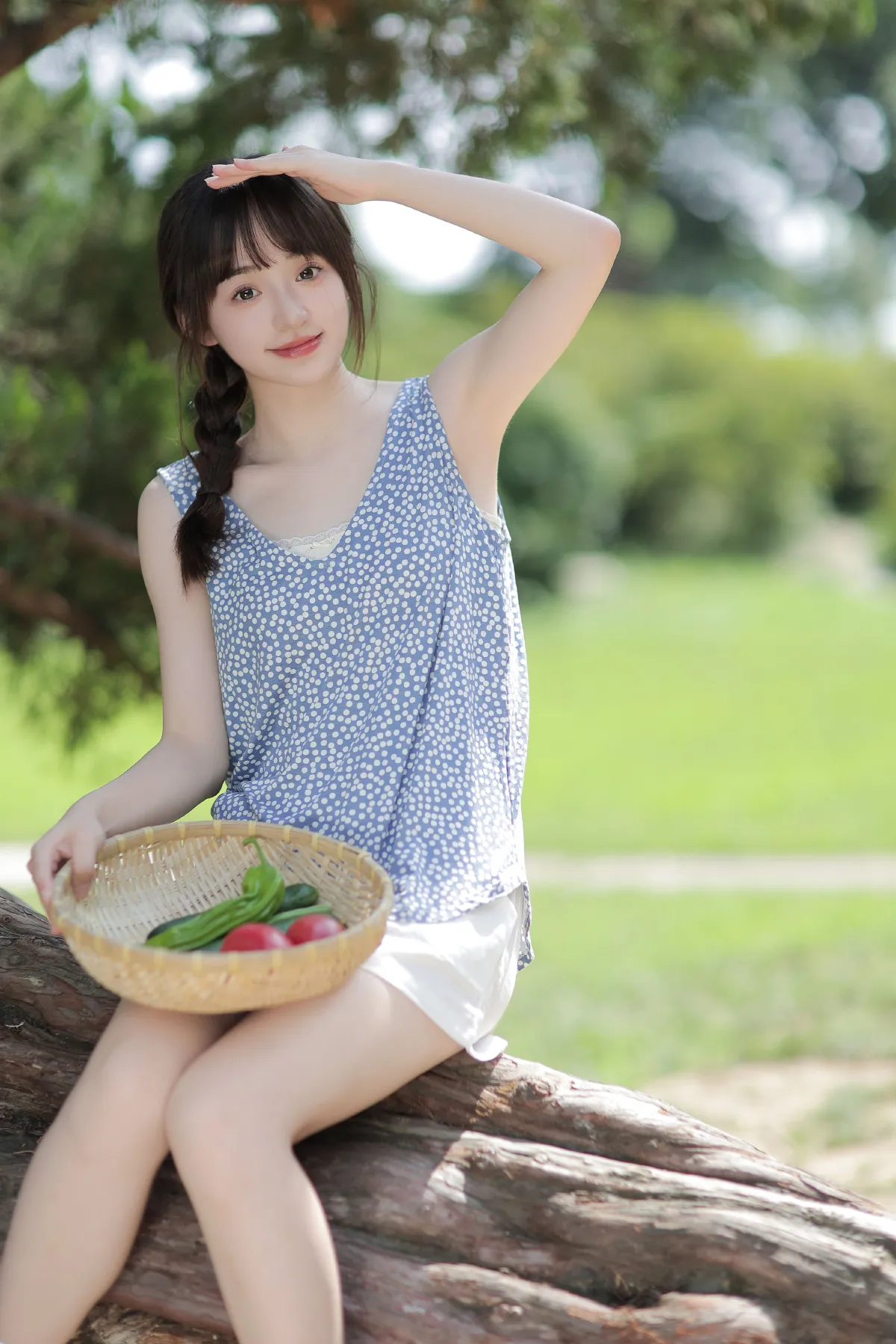 小森林1
