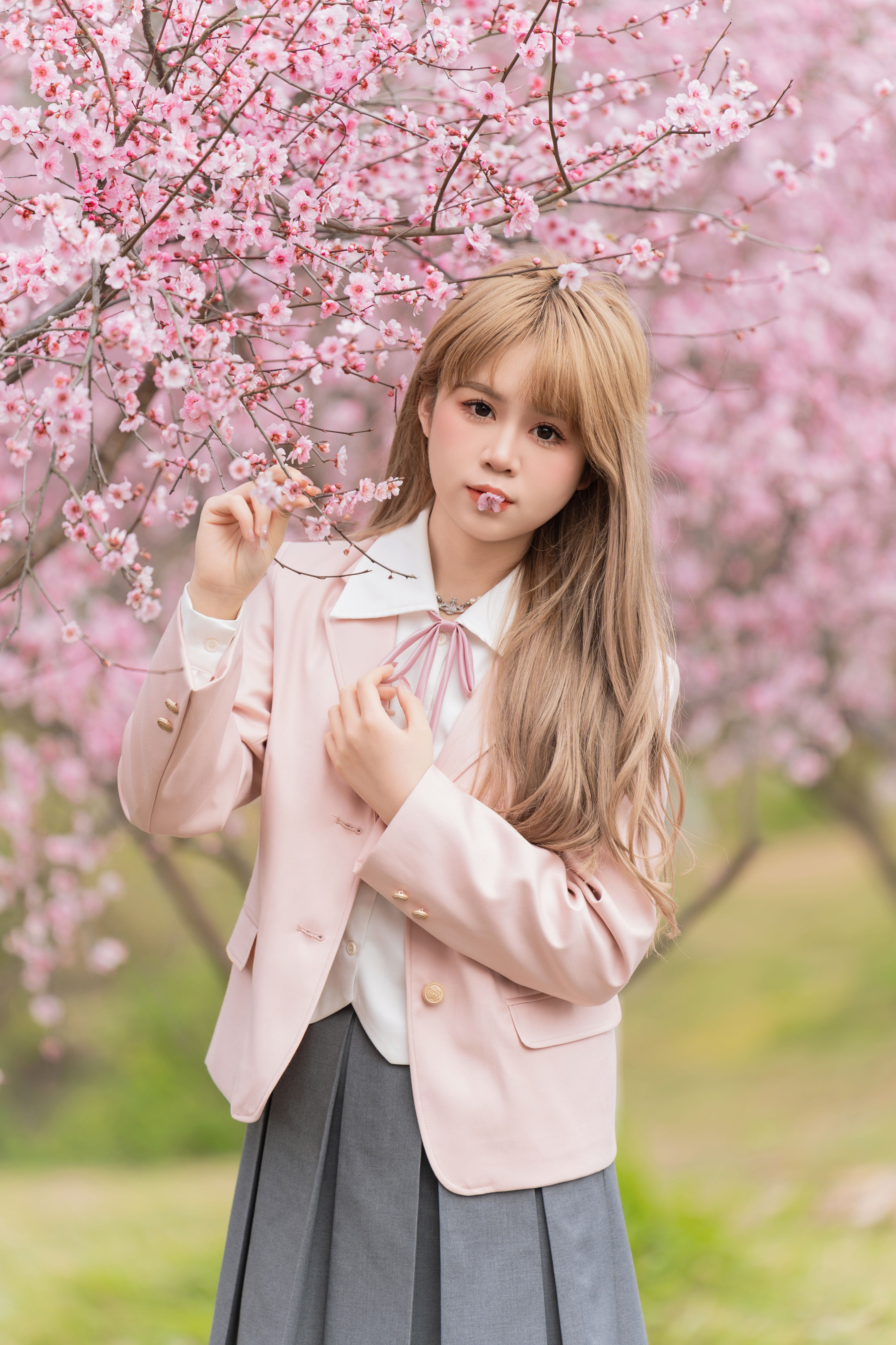 美人梅