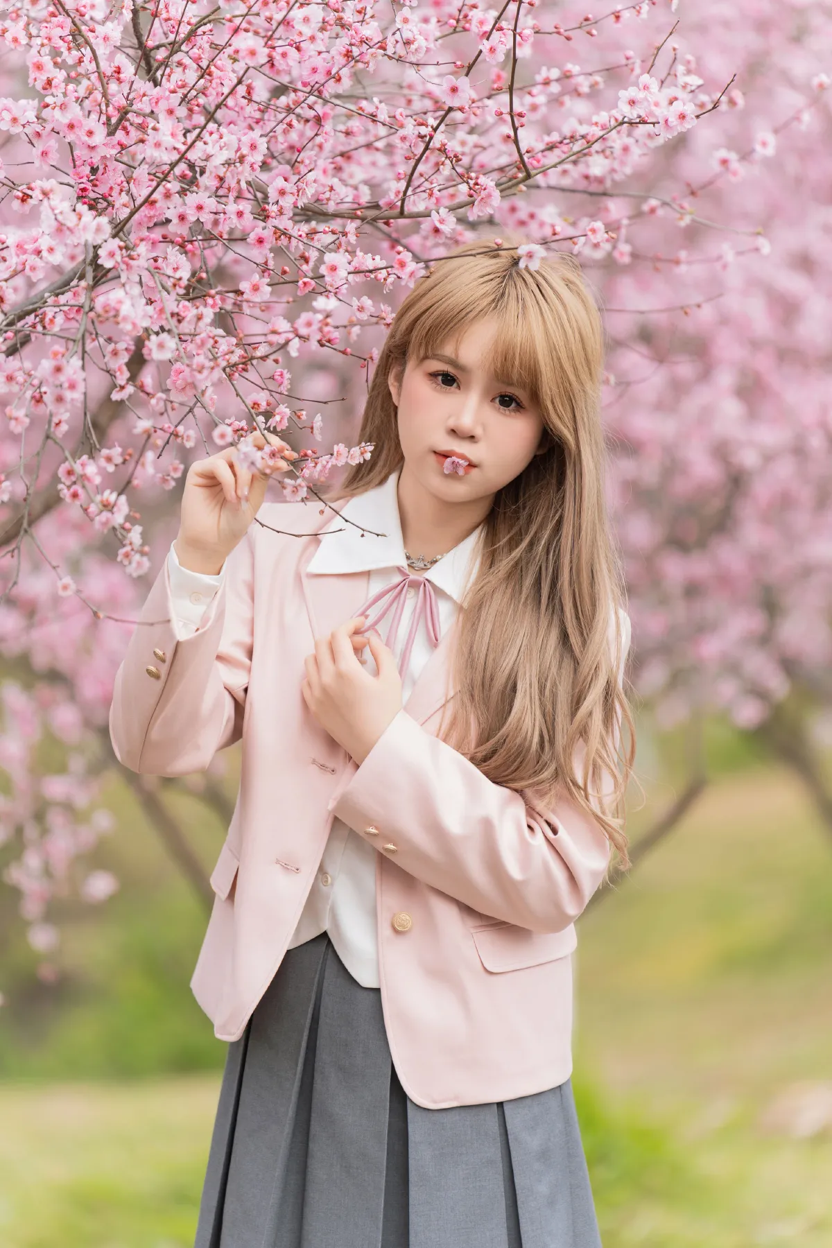 美人梅