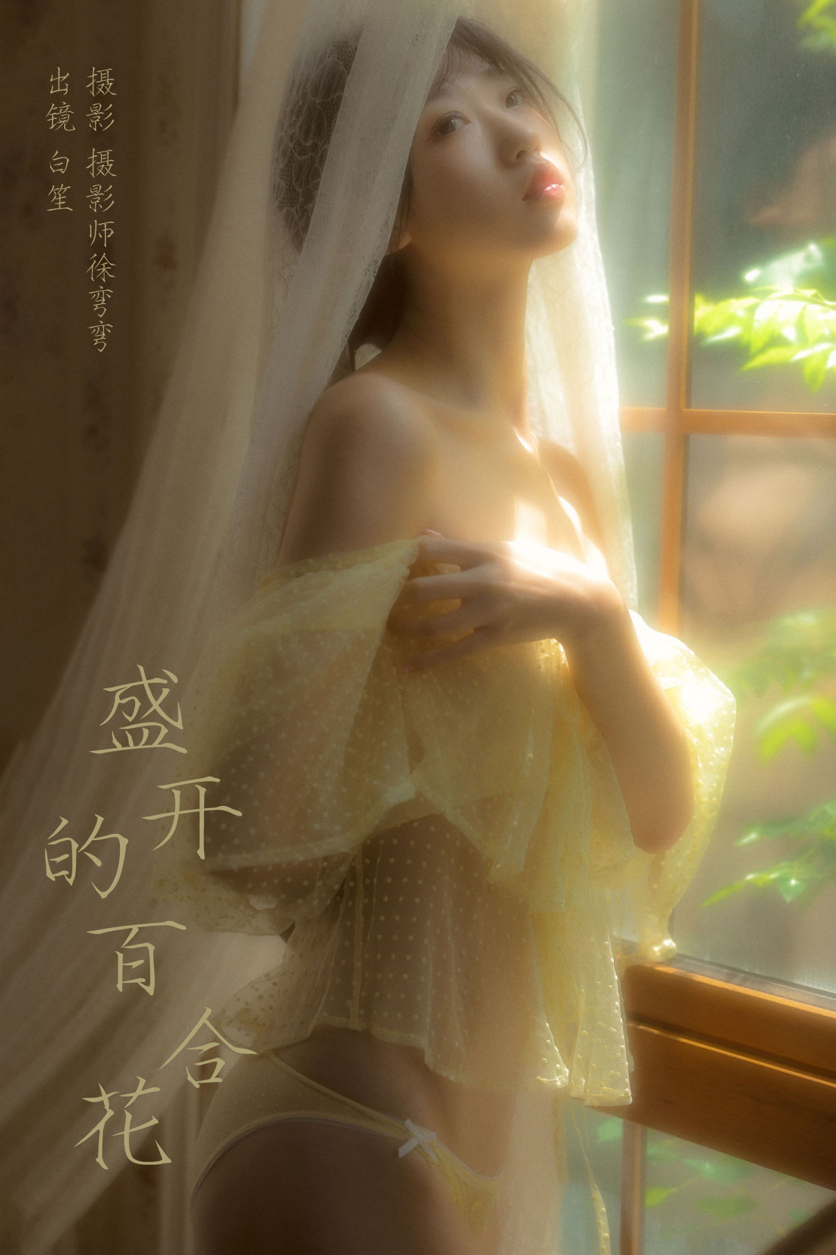 摄影师徐弯弯_白笙《盛开的百合花》美图作品图片1