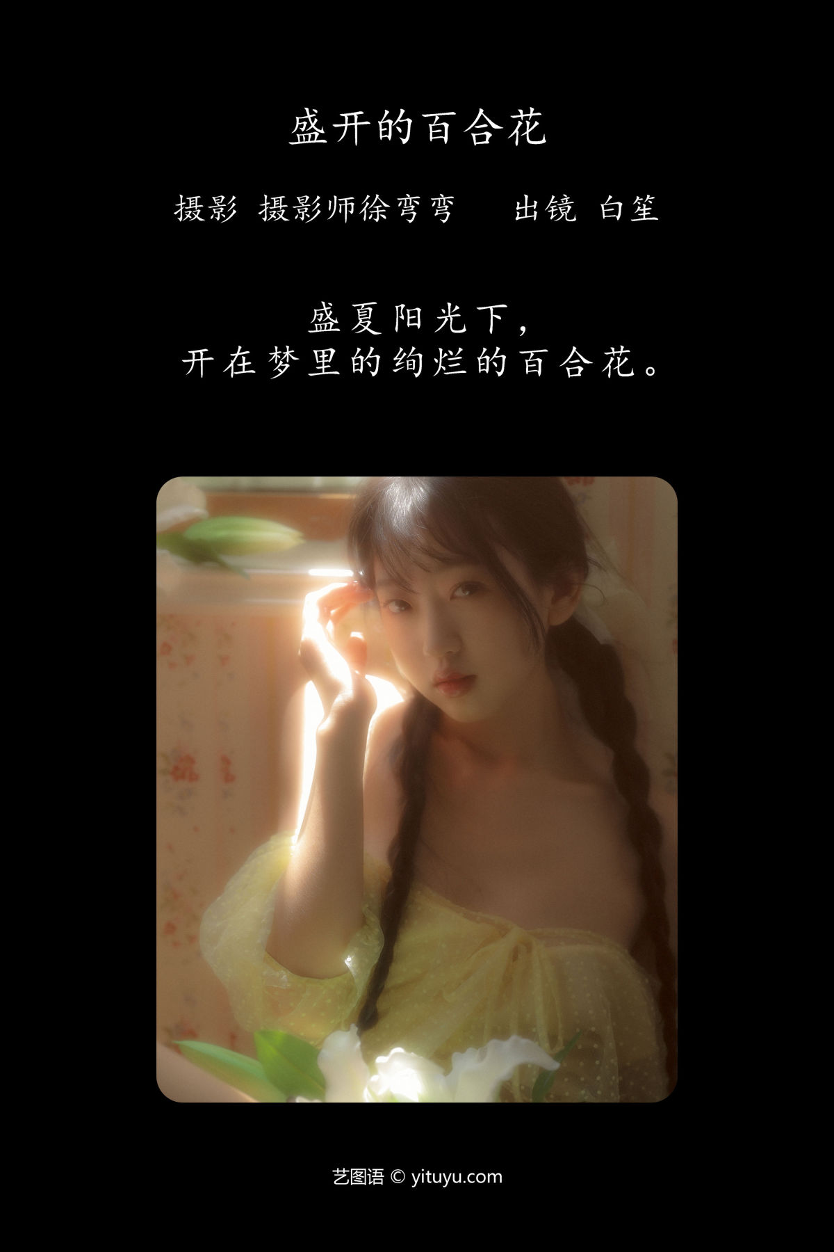 摄影师徐弯弯_白笙《盛开的百合花》美图作品图片2