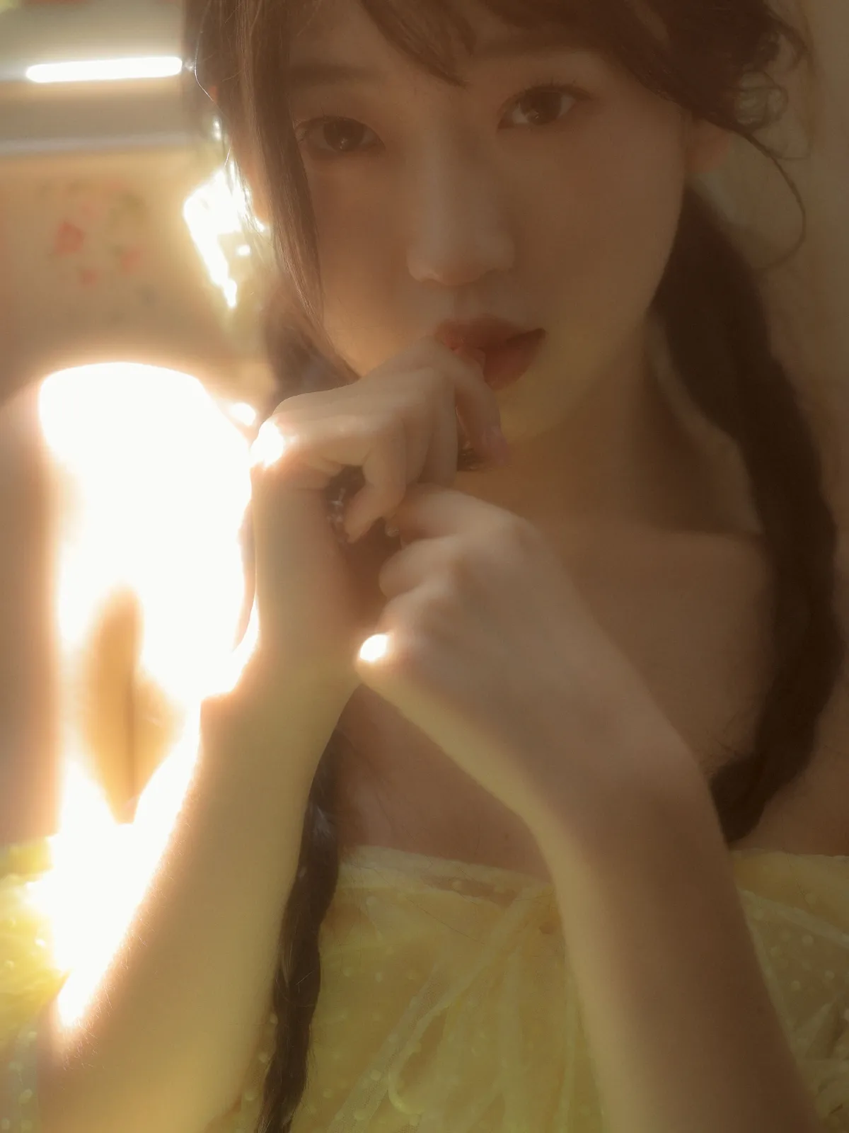 盛开的百合花1