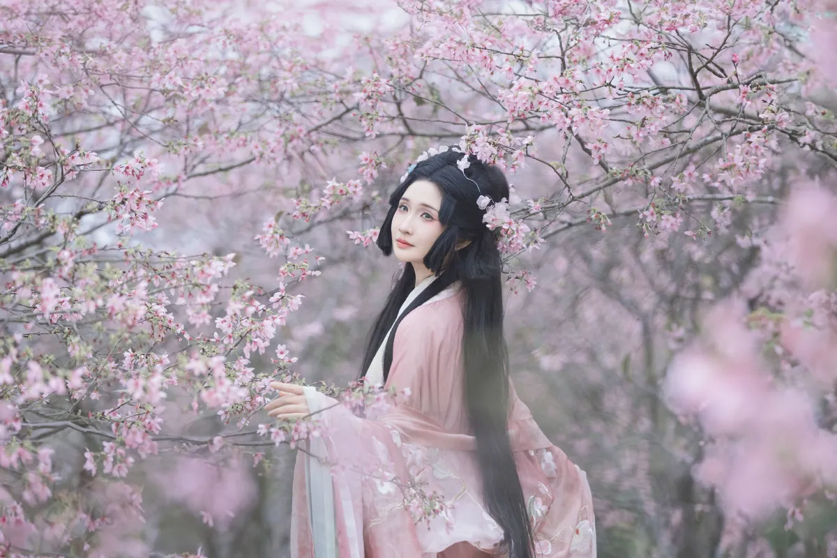 落樱2