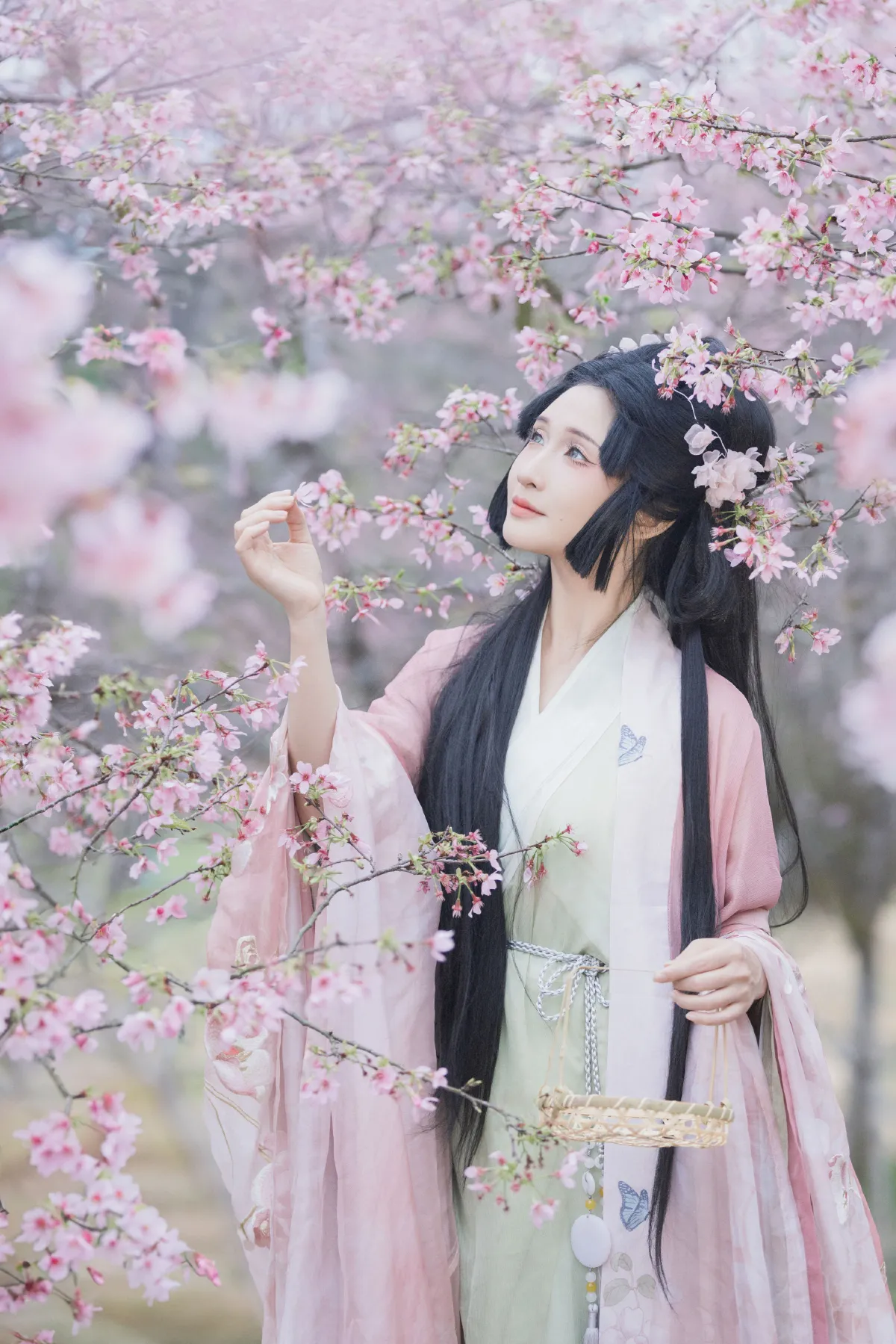 落樱3