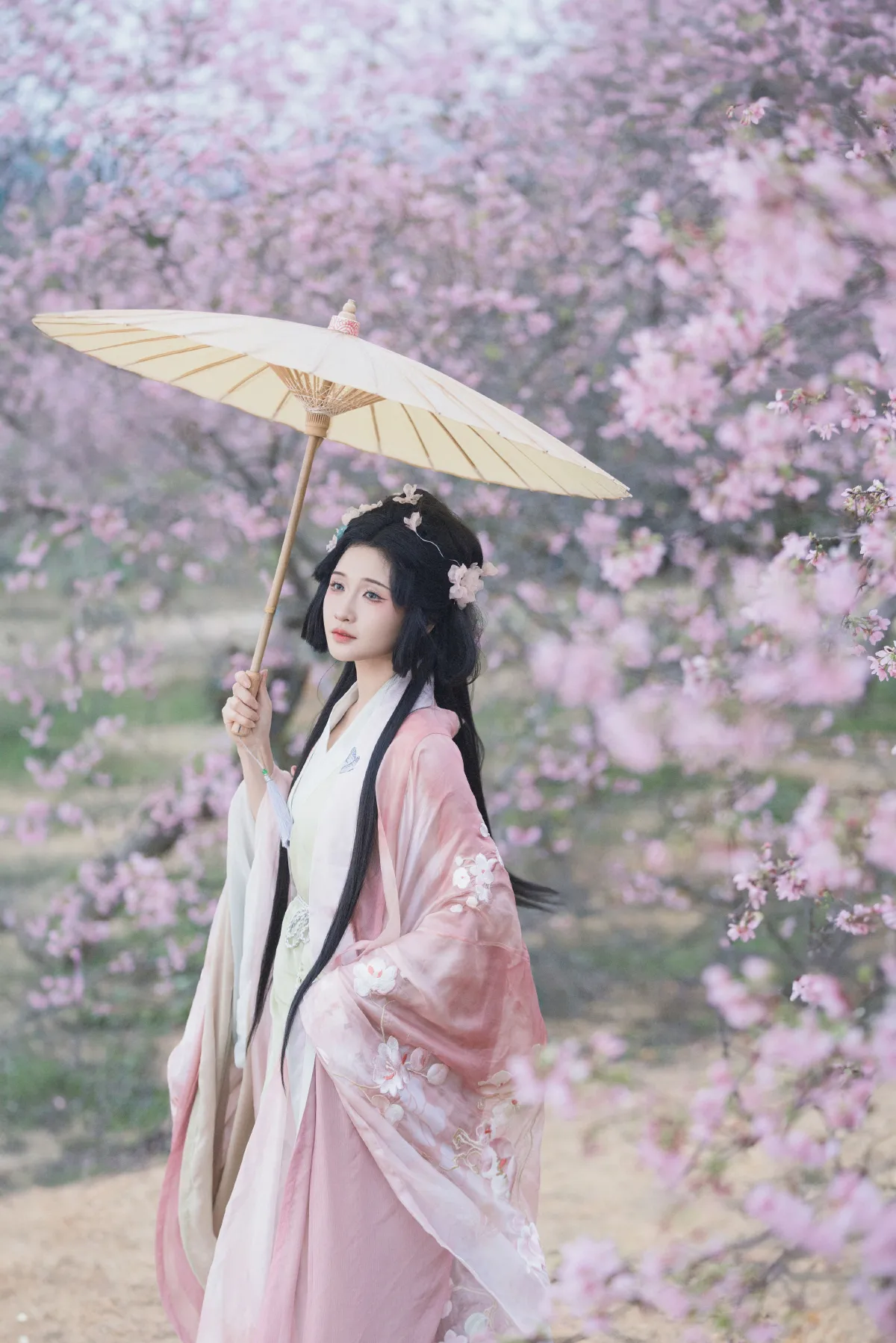 落樱