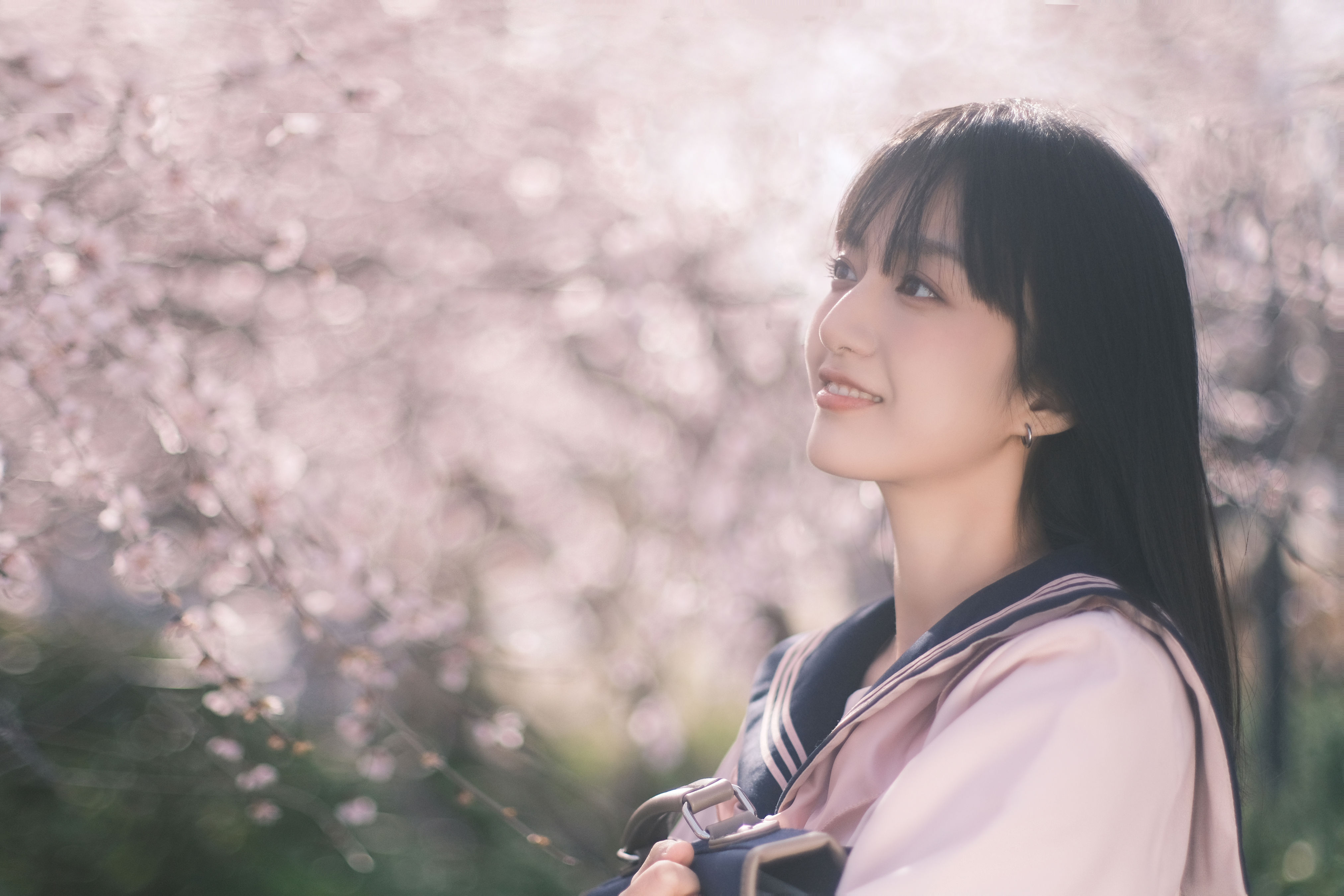 樱花树下樱花妹