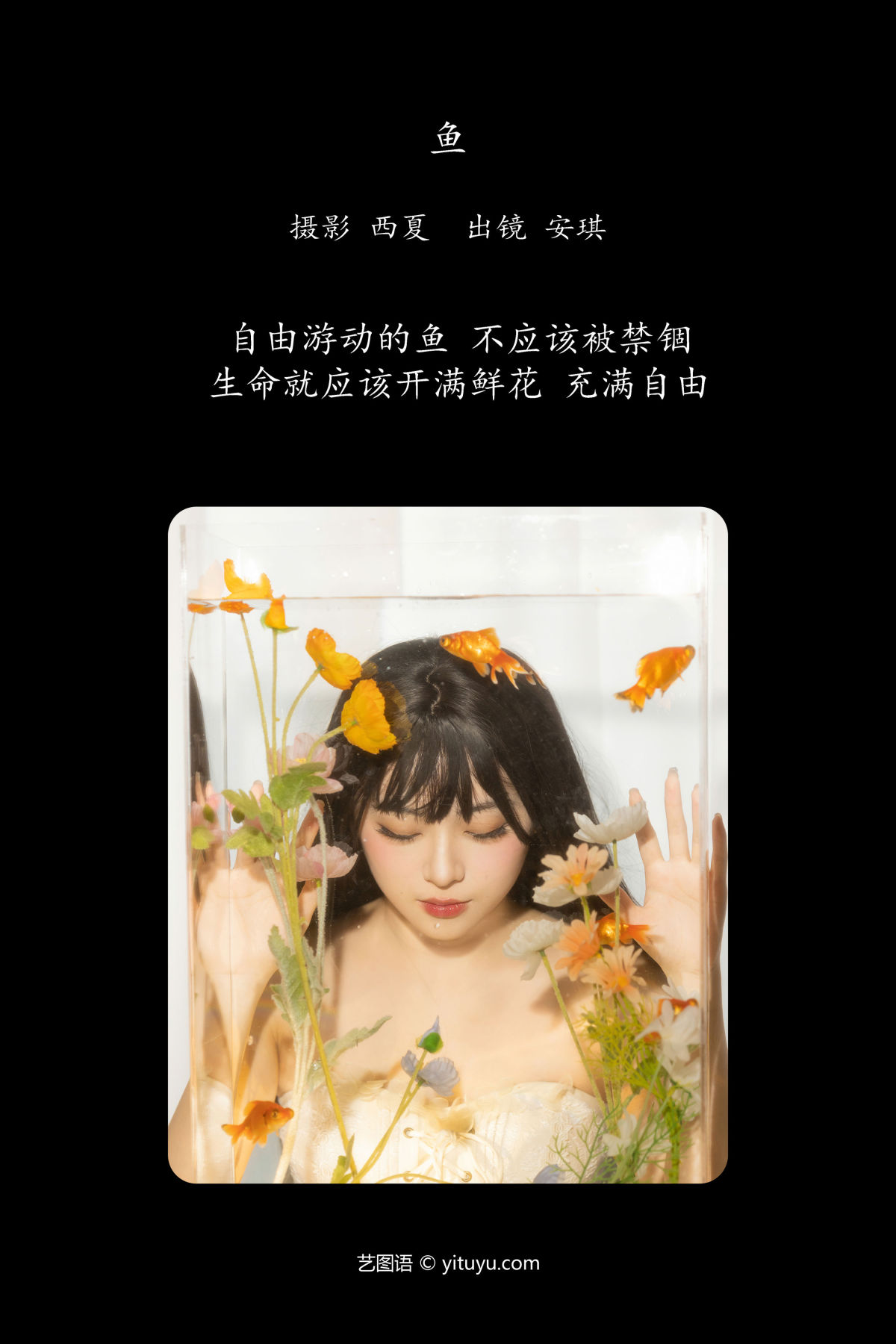 西夏_安琪不吃香菇《鱼》美图作品图片2