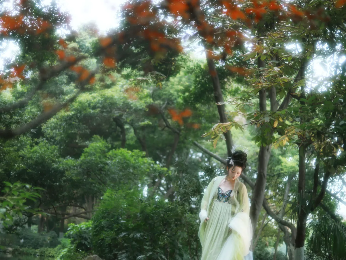 绿野仙踪