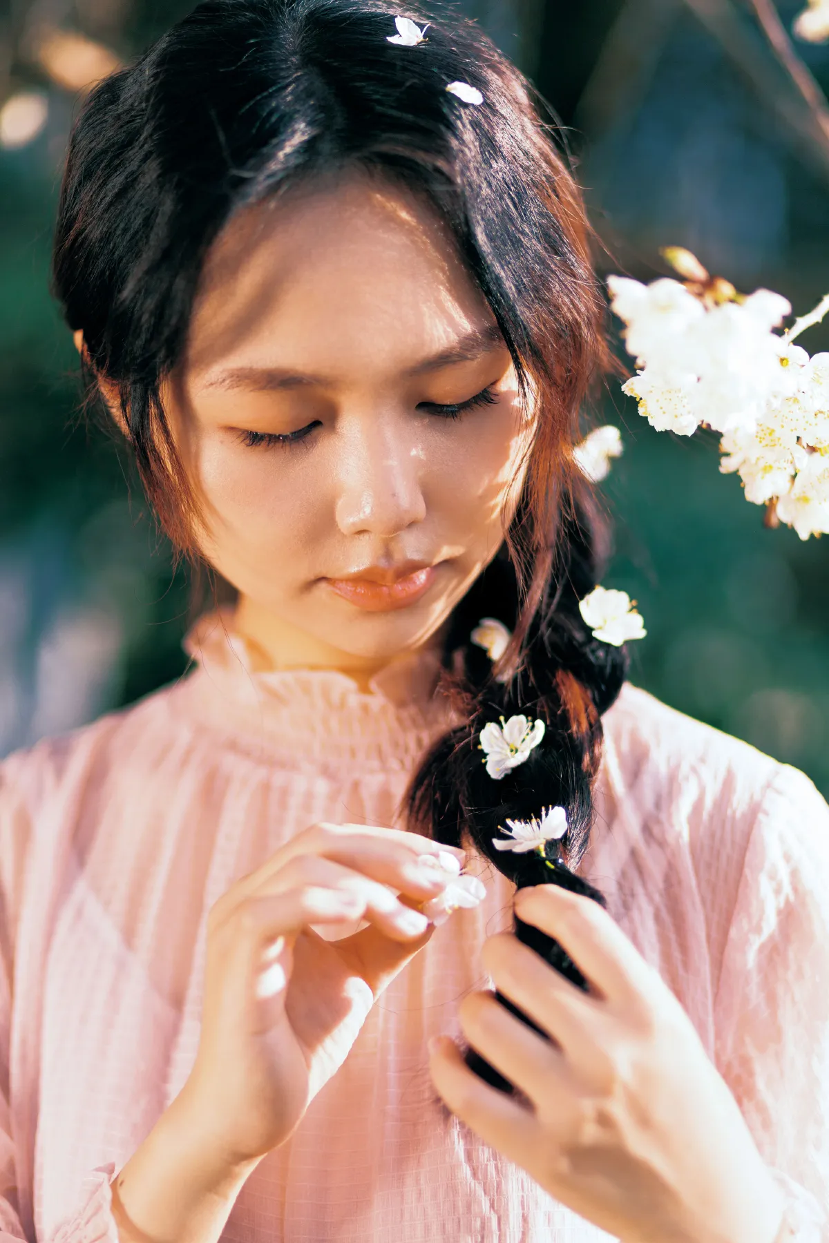 春日樱2